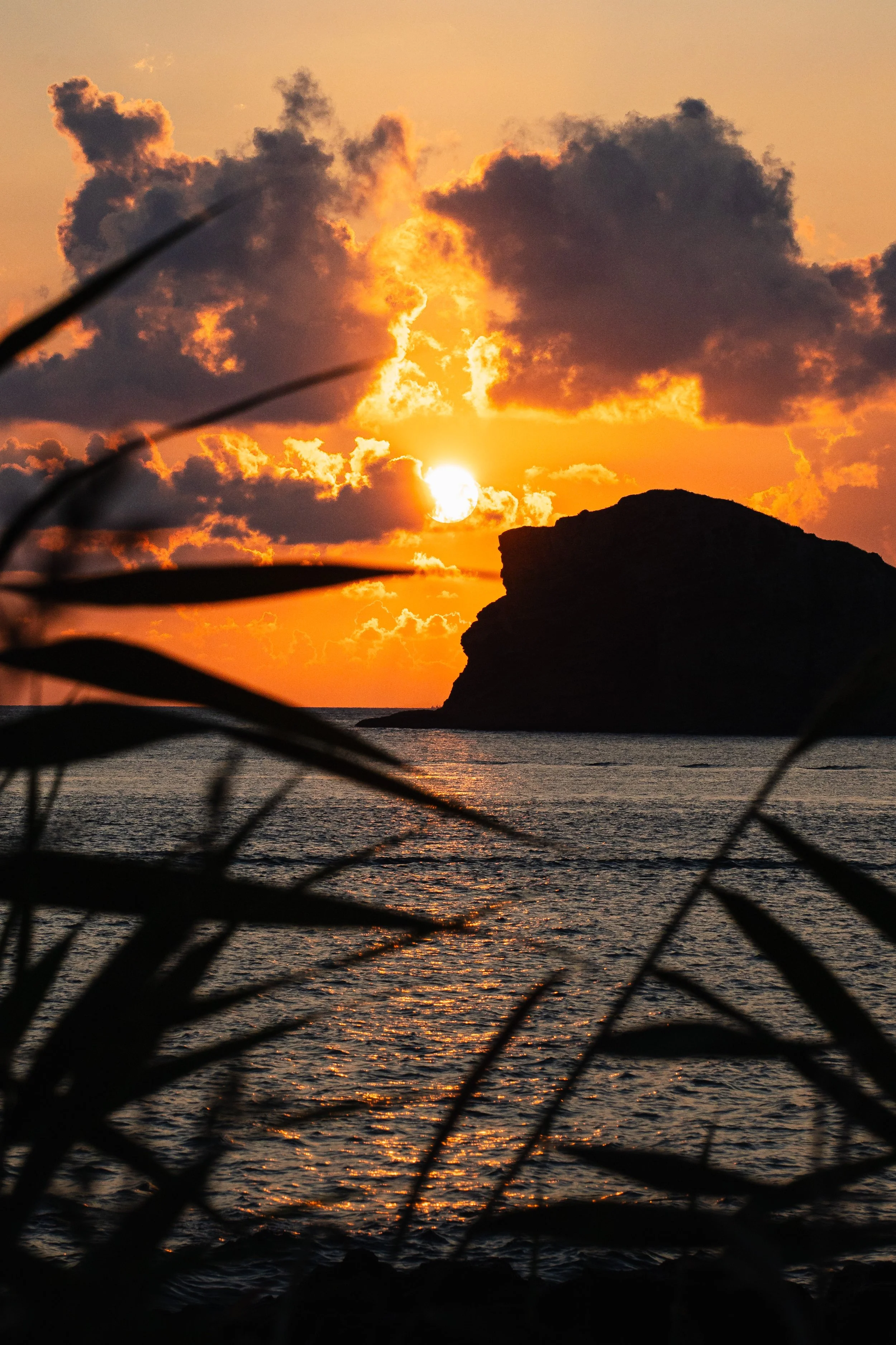 Jeju, South Korea - 2025-59.jpg