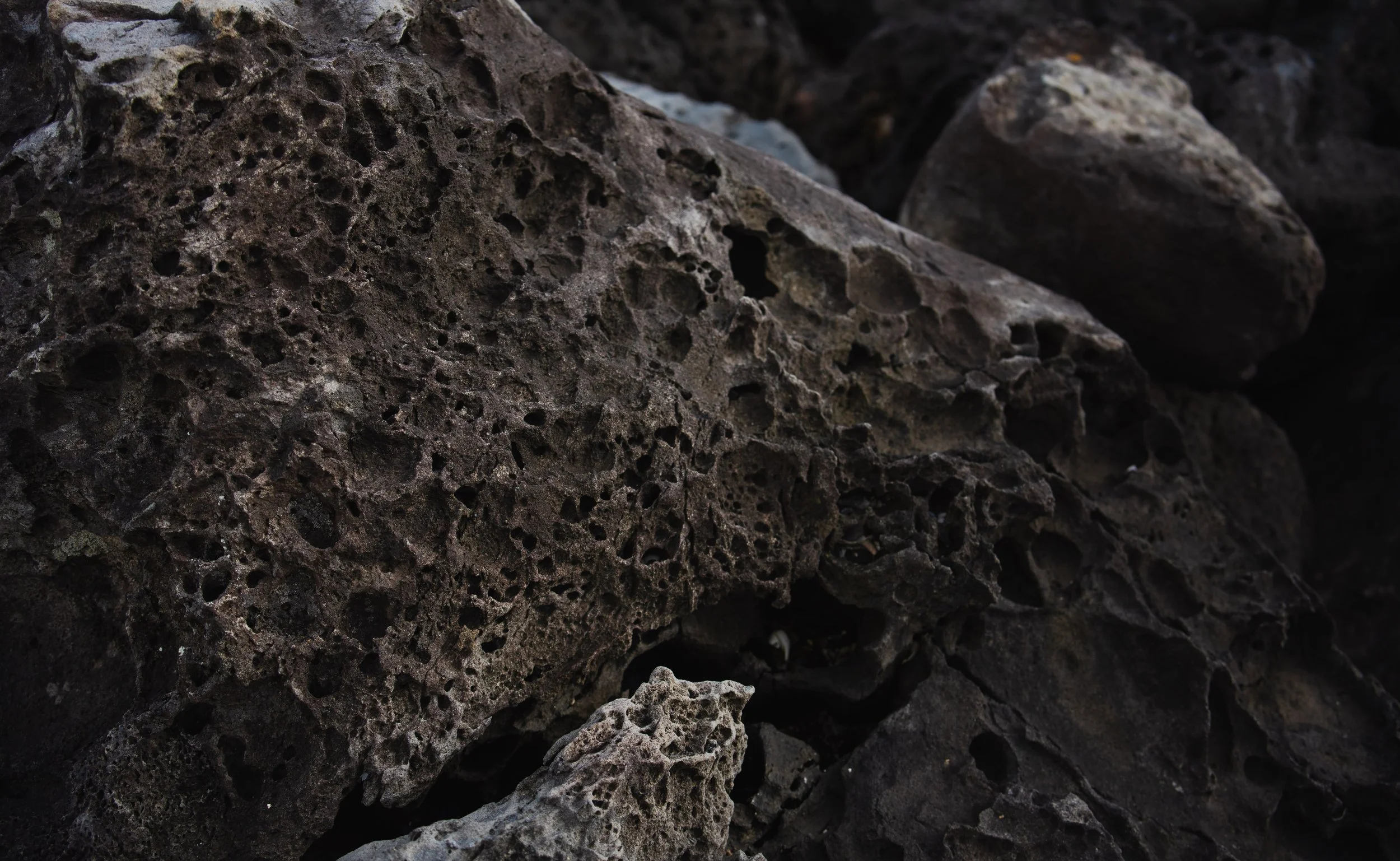 Jeju, South Korea - 2025-44.jpg