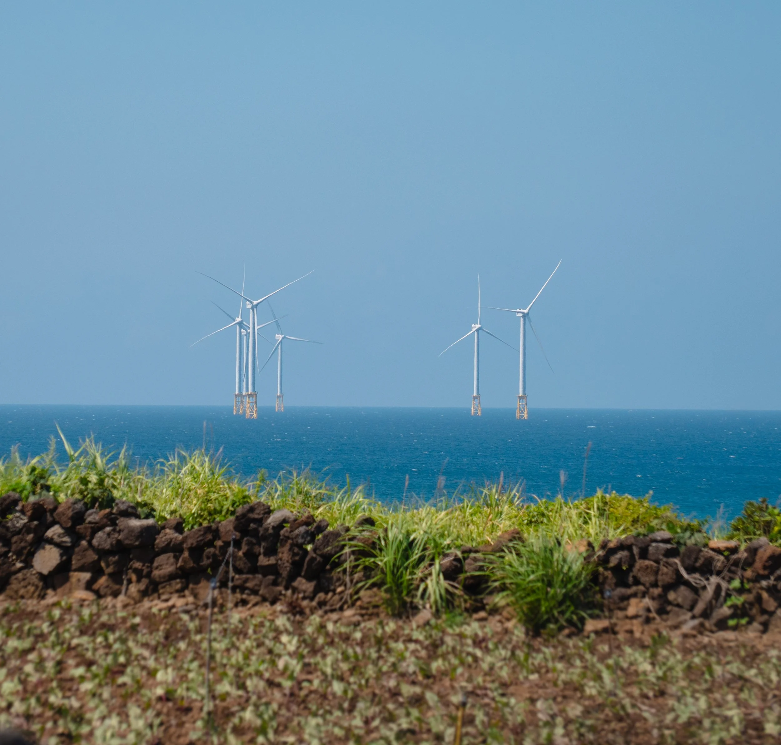 Jeju, South Korea - 2025-18.jpg