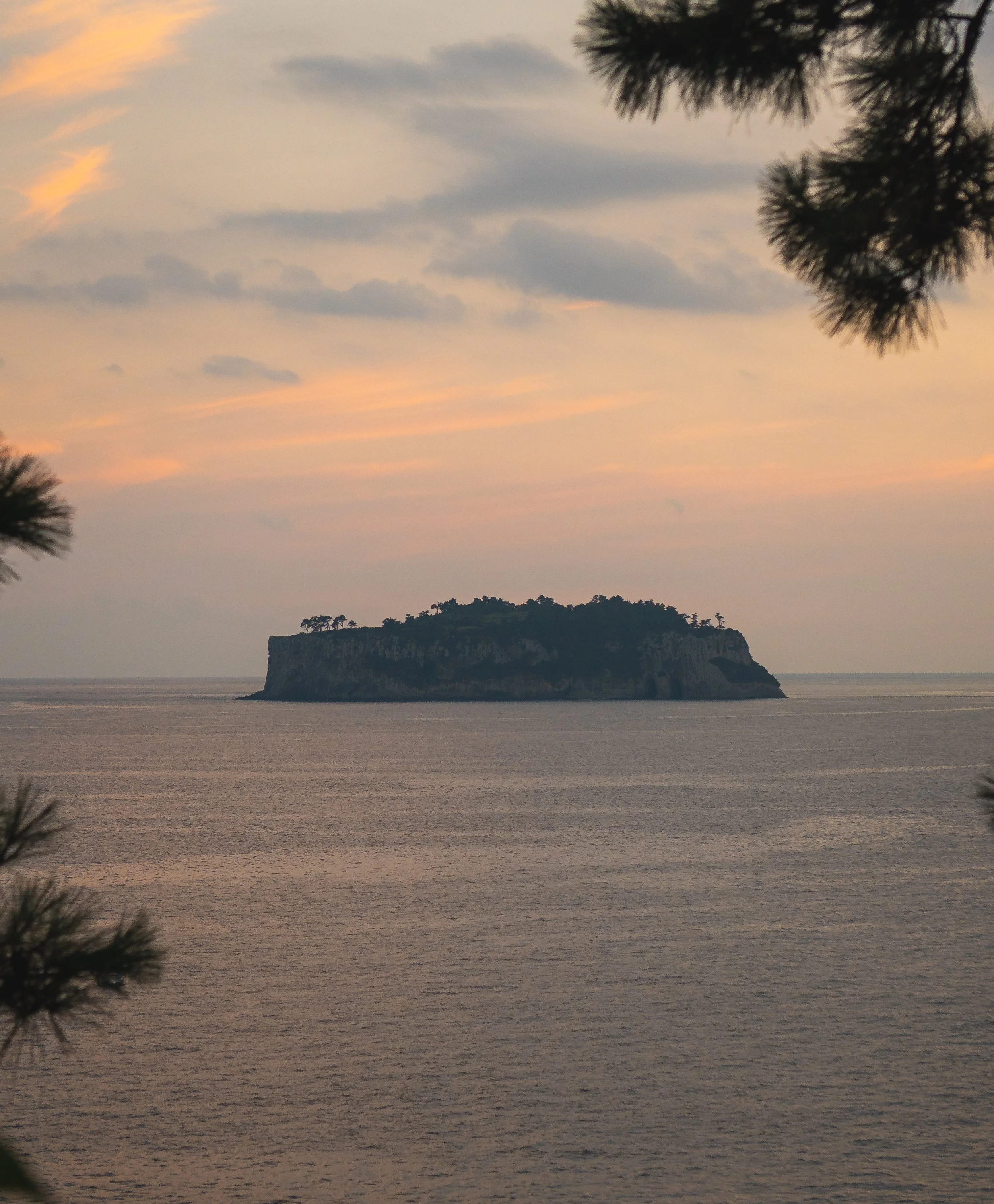 Jeju, South Korea - 2025-26.jpg