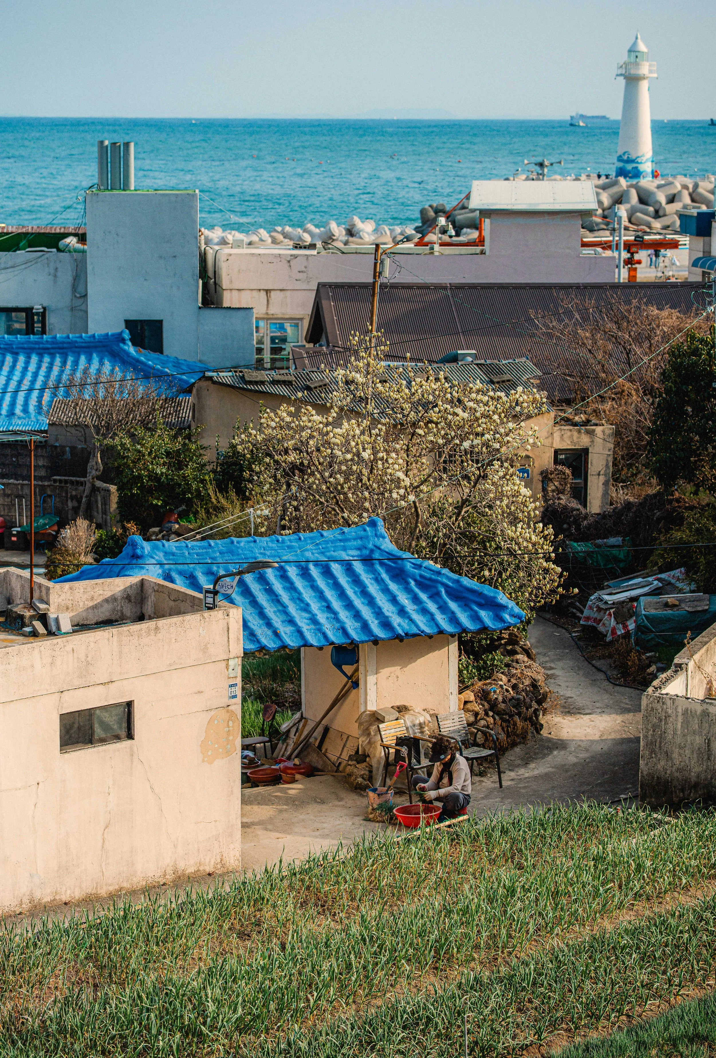 2026_03_Busan_EO-48.jpg