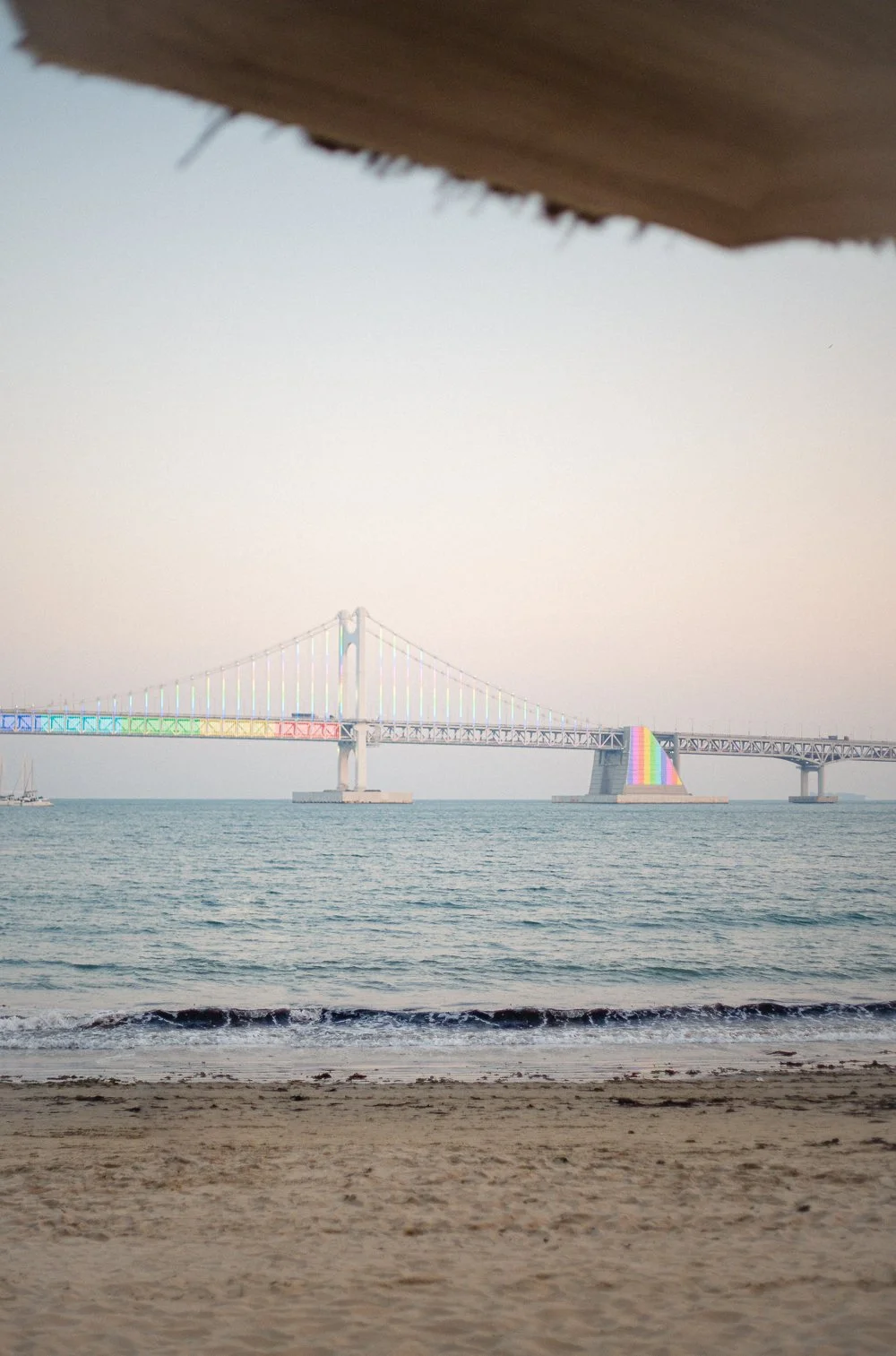 Busan_First_Looks-10.jpg