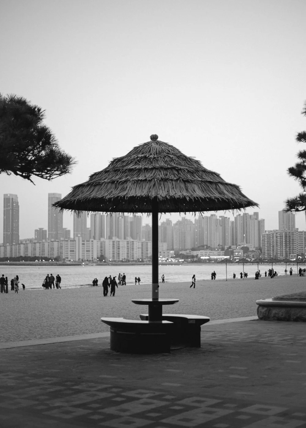 Busan_First_Looks-14.jpg