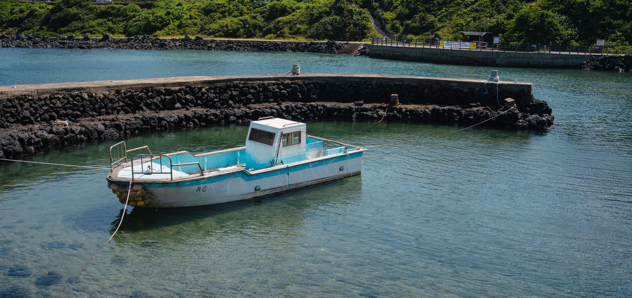 Jeju, South Korea - 2025-16.jpg