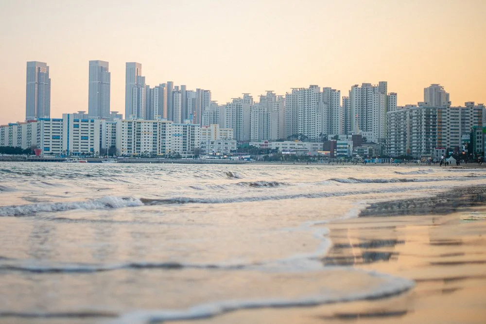 Busan_First_Looks-5.jpg
