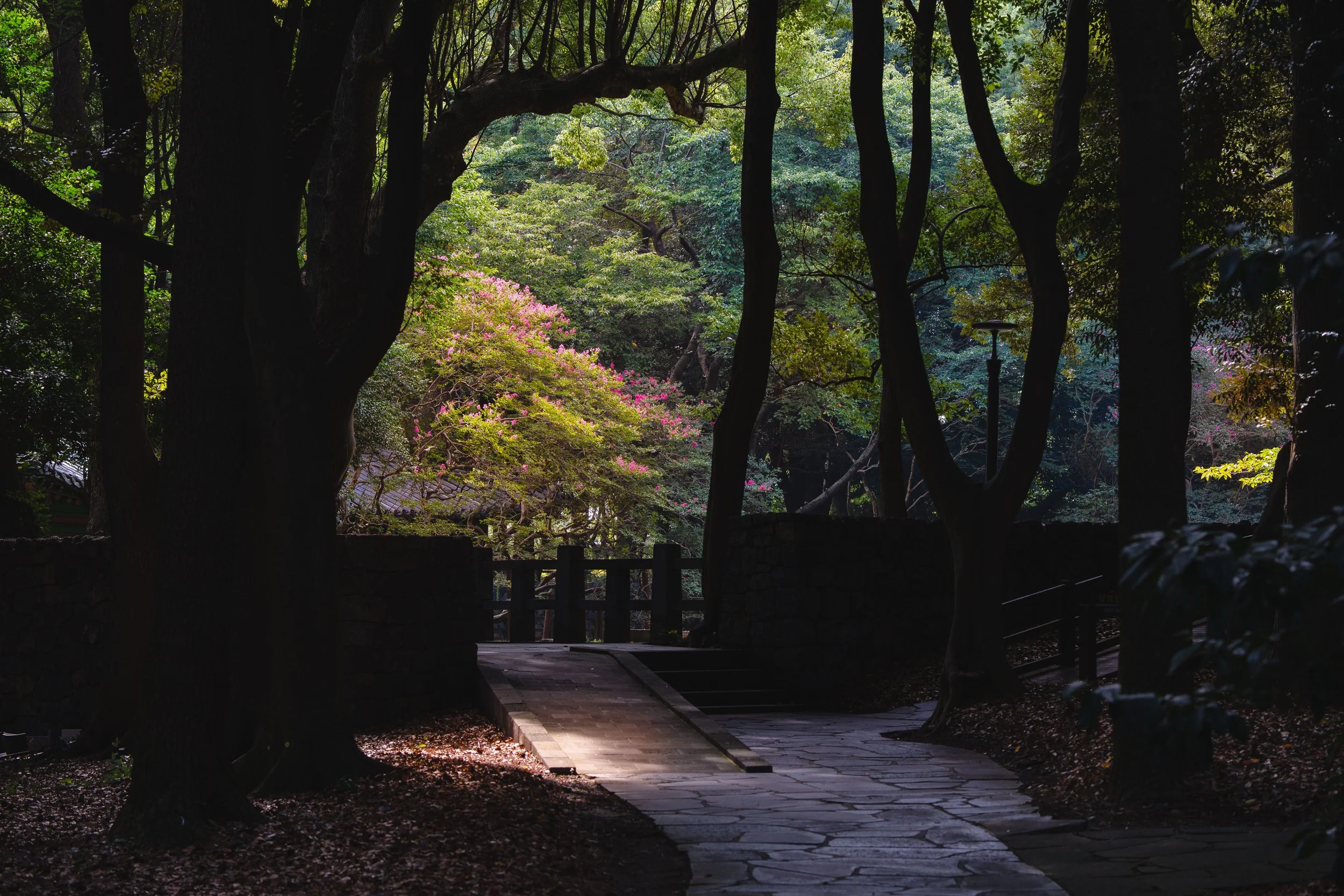 Jeju, South Korea - 2025-1.jpg