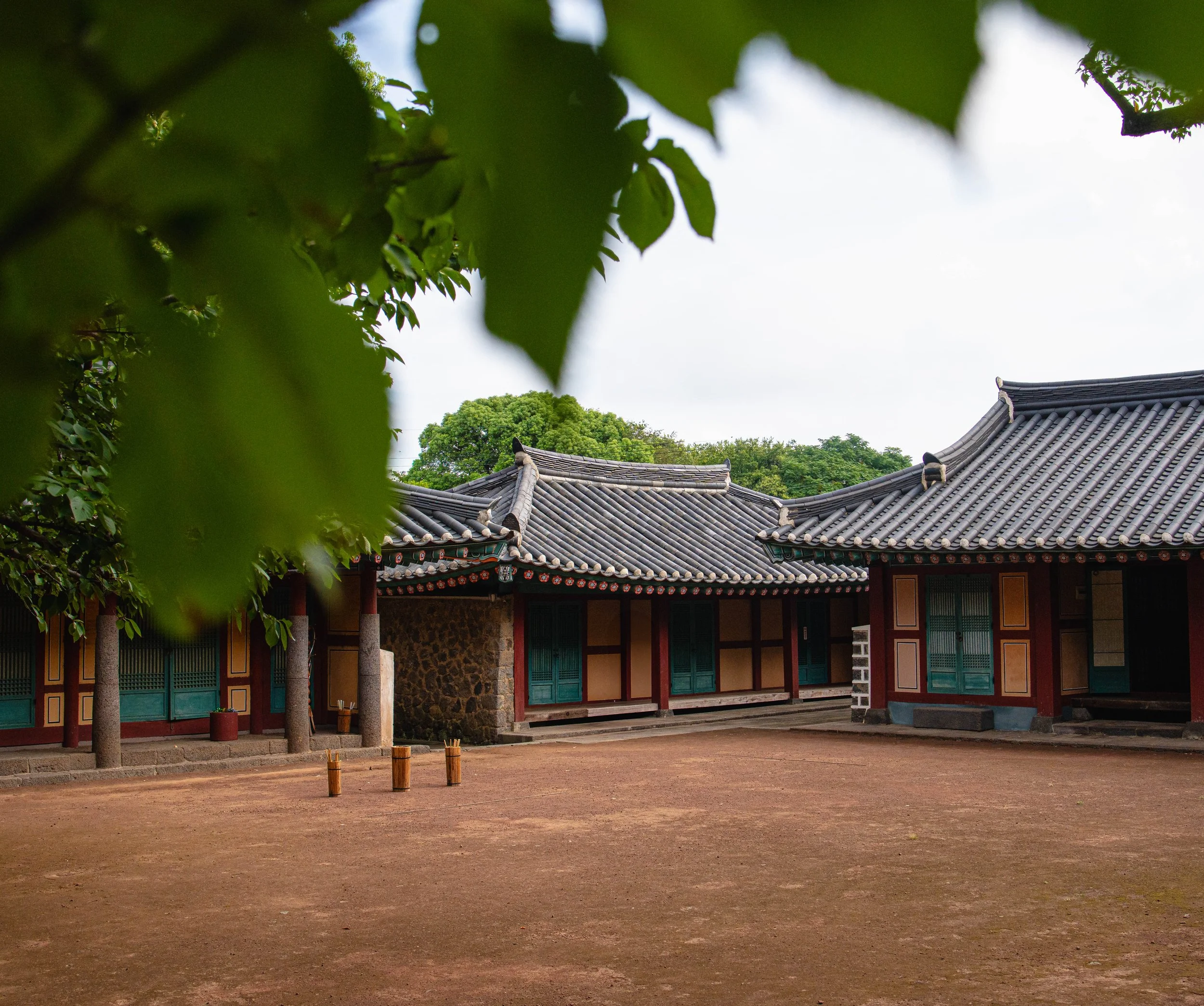 Jeju, South Korea - 2025-6.jpg