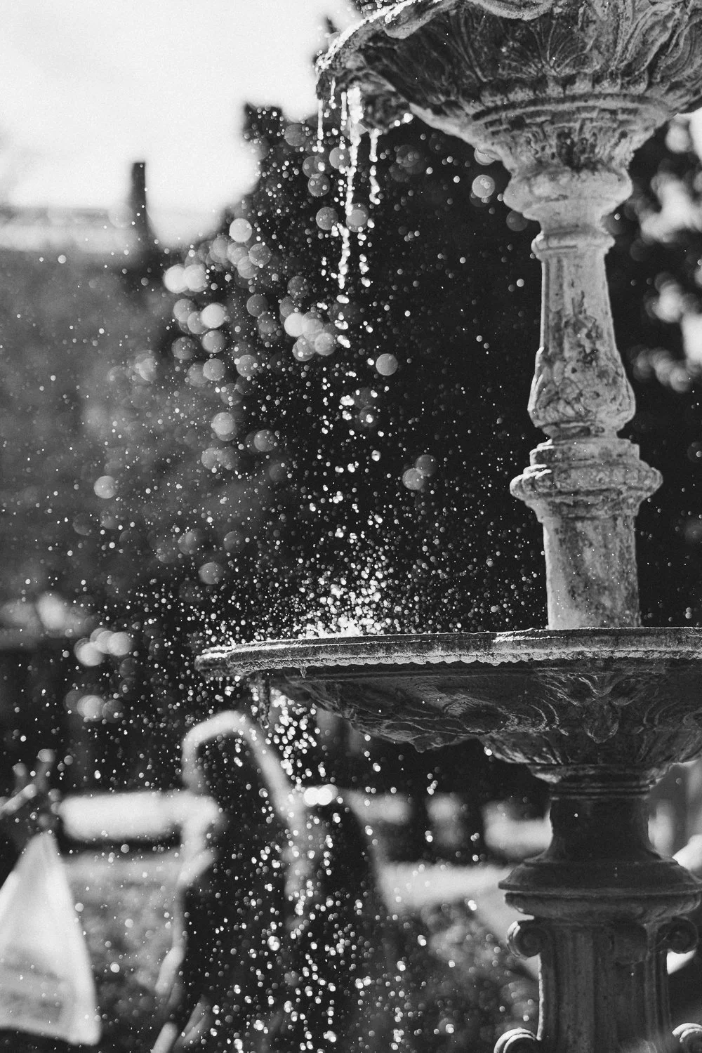 NOLA_TRIP-19-2.jpg