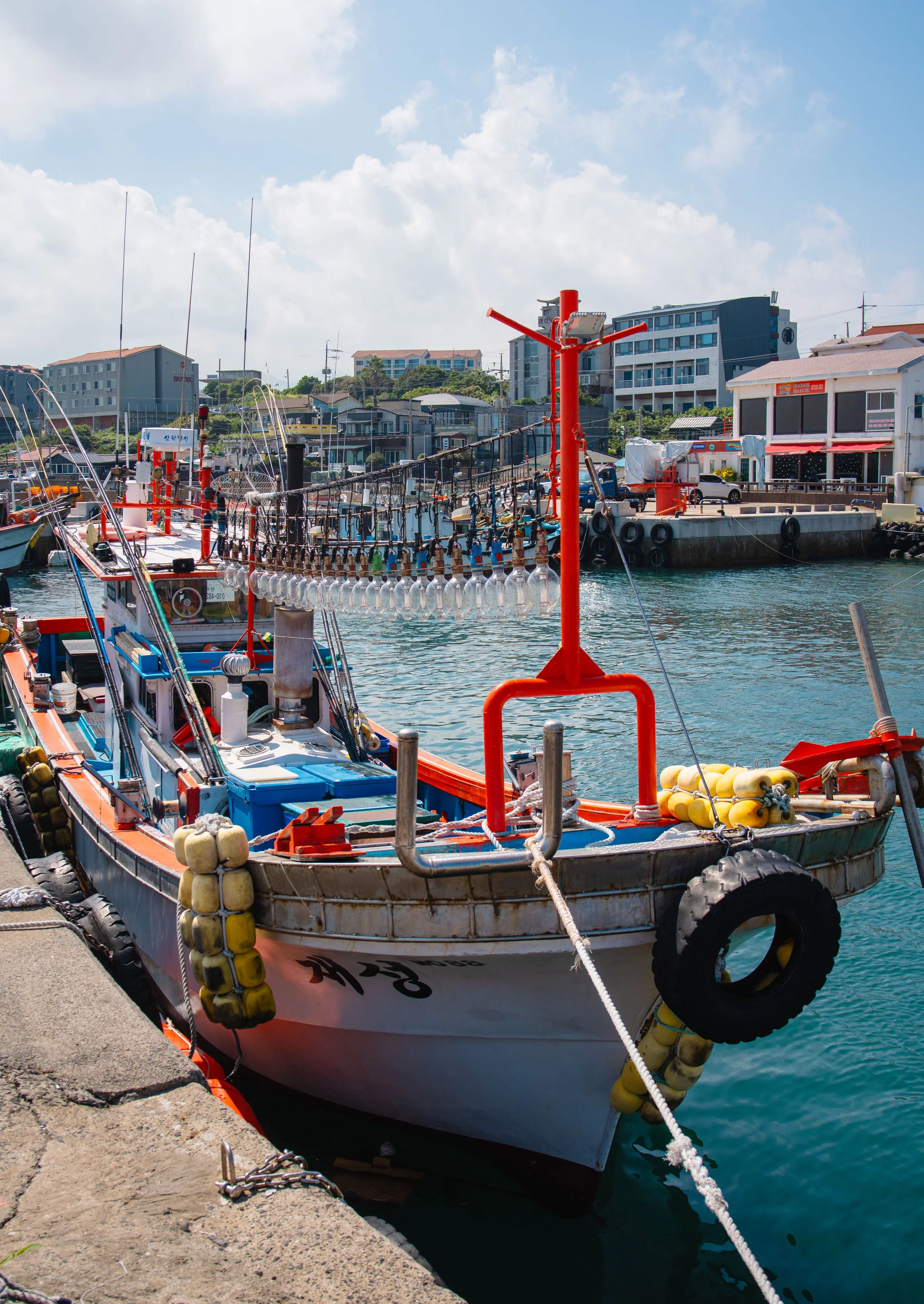 Jeju, South Korea - 2025-15.jpg