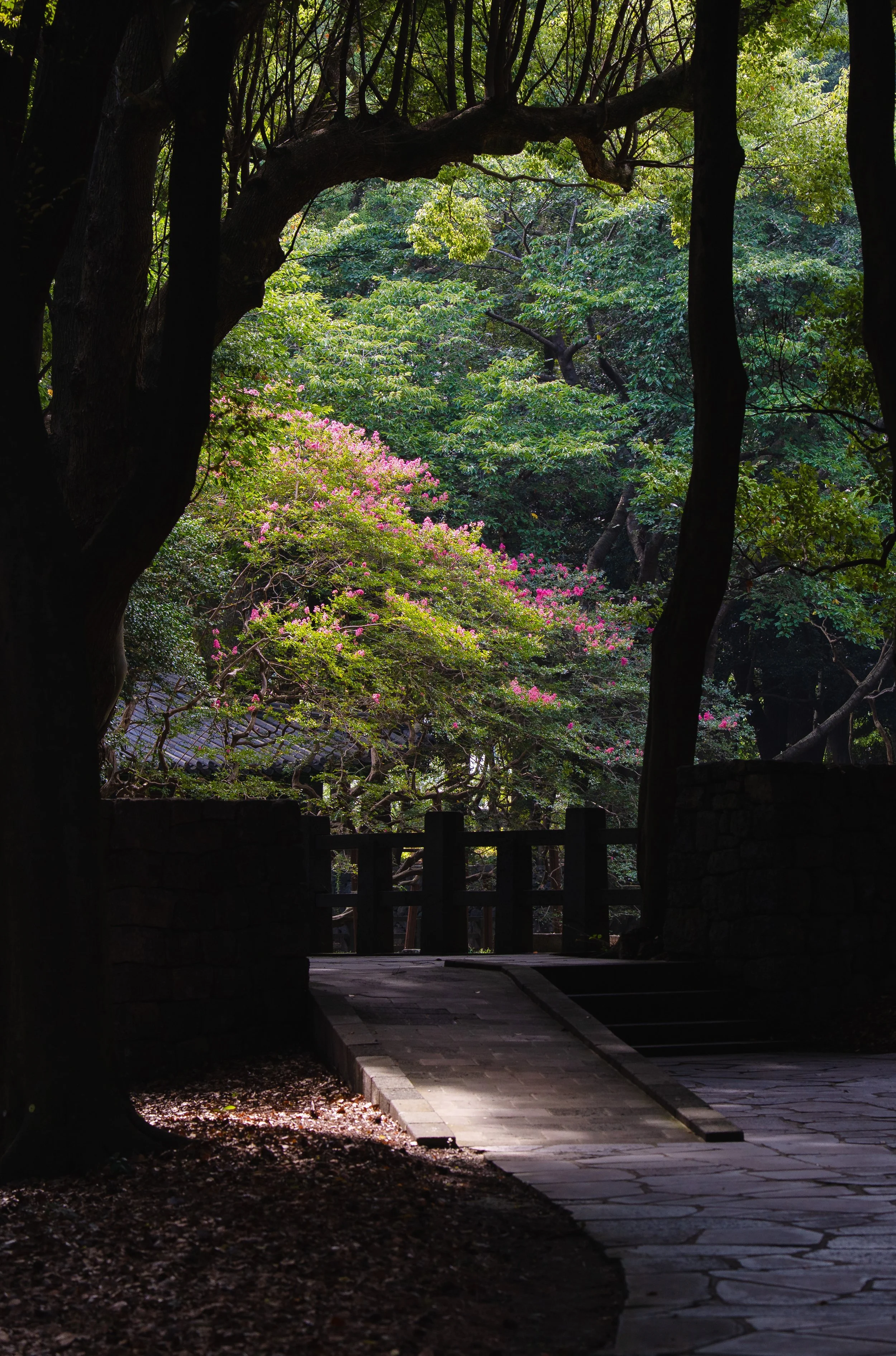 Jeju, South Korea - 2025-1-2.jpg