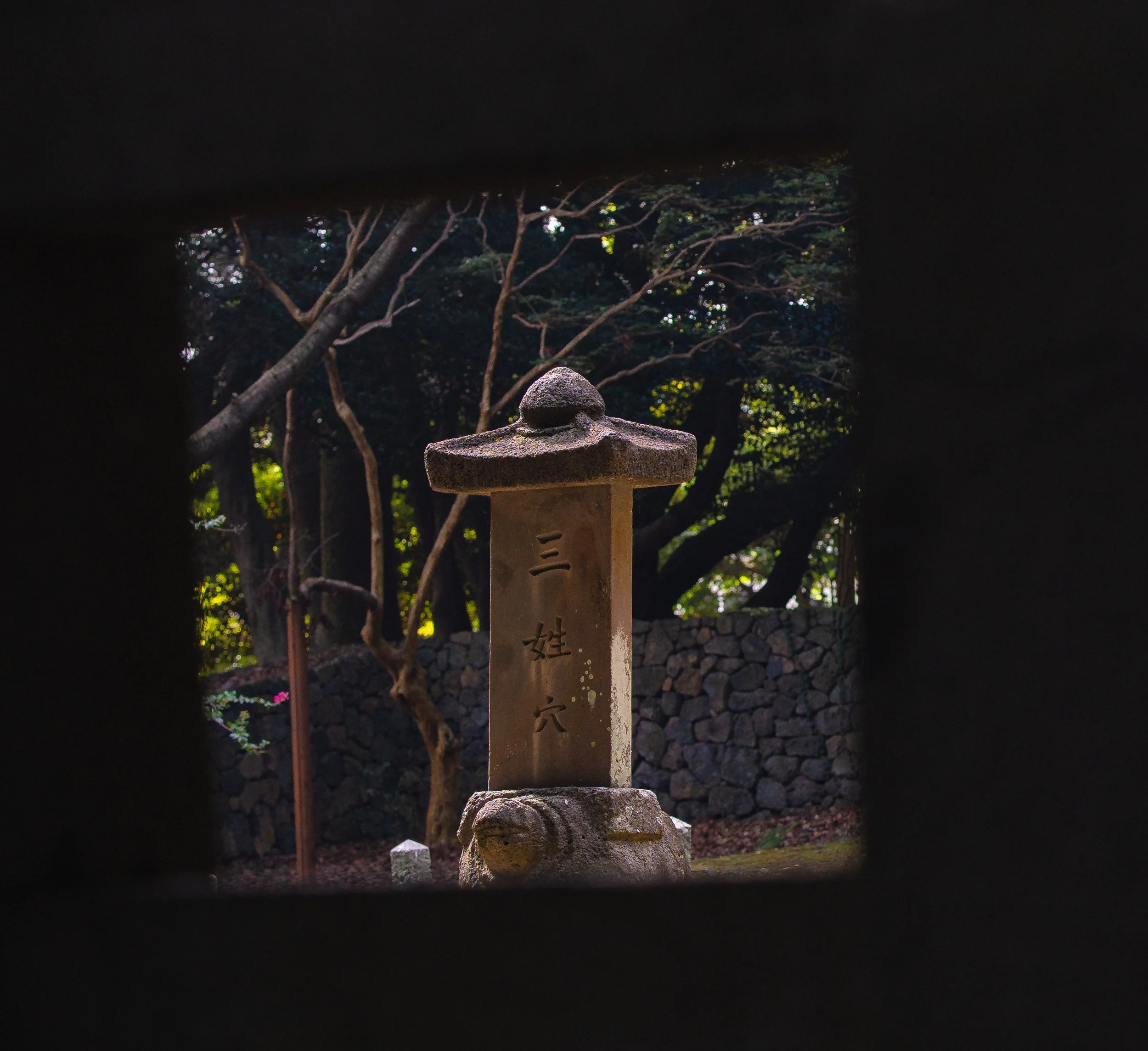 Jeju, South Korea - 2025-2.jpg