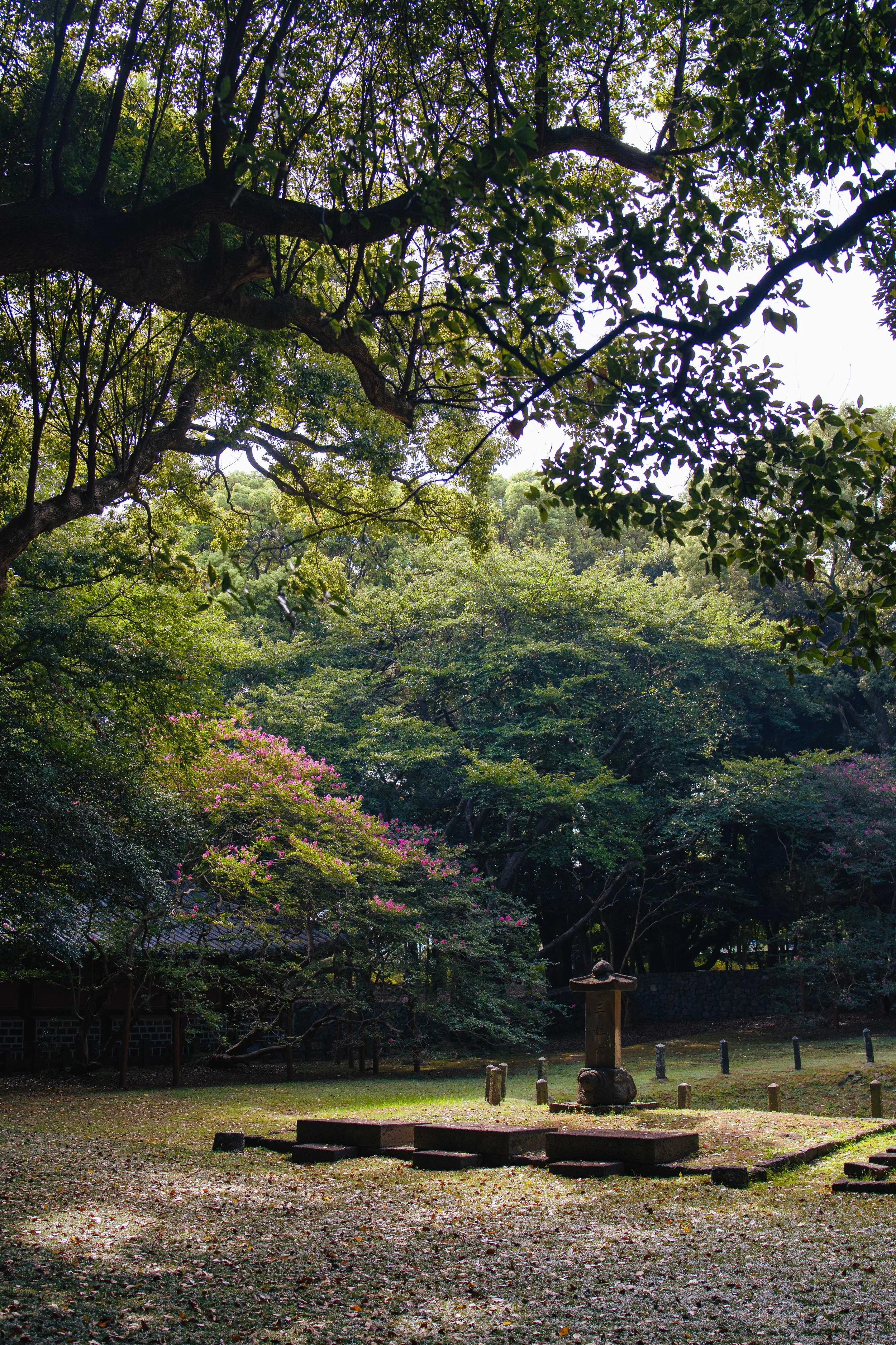 Jeju, South Korea - 2025-4.jpg