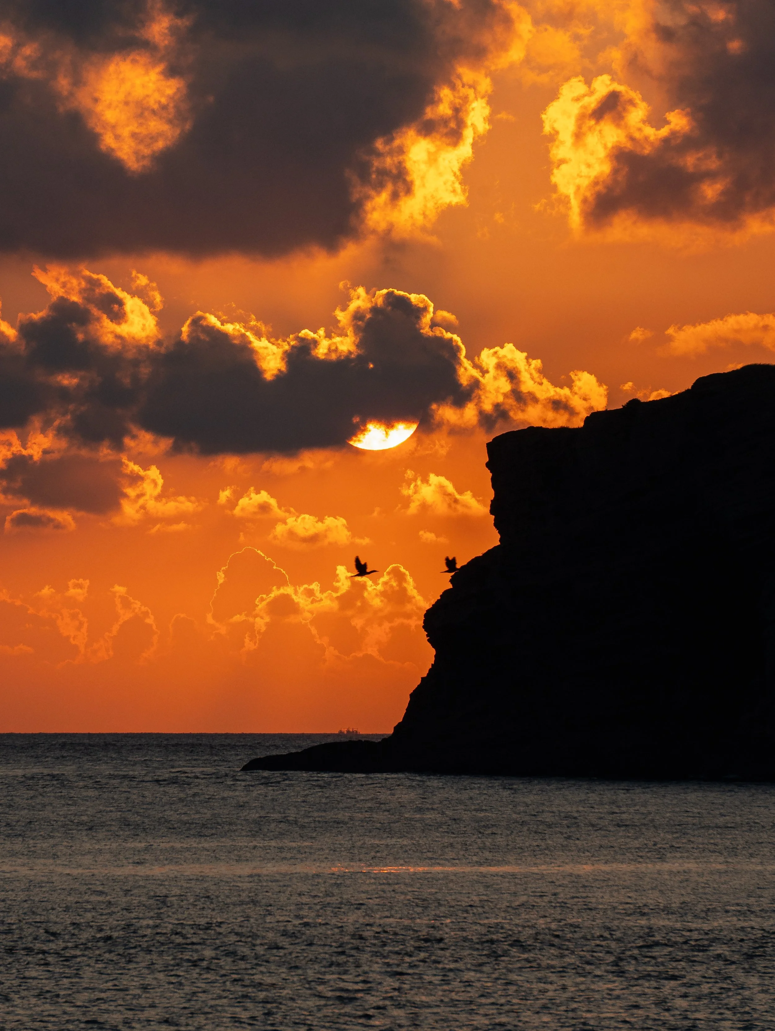 Jeju, South Korea - 2025-64.jpg