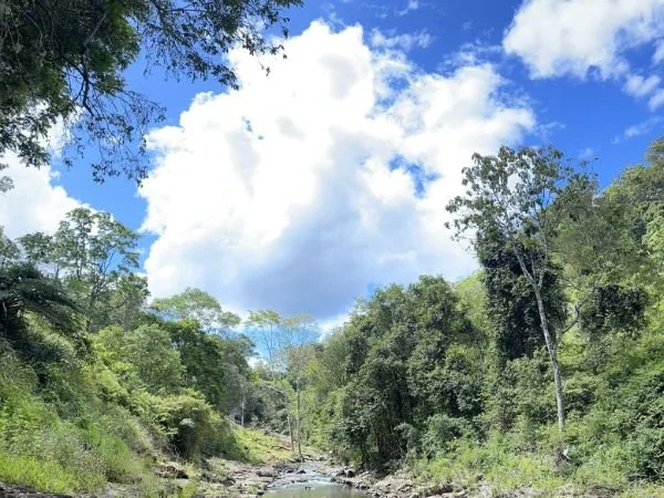 Tuntable Falls cropped 3.jpg