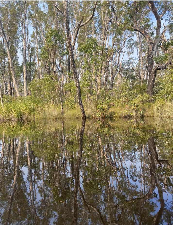 NOOSA EVERGLADES RIVER CRUISE CAMP-OUT, 3 DAYS,  19 - 21 March, 2027
