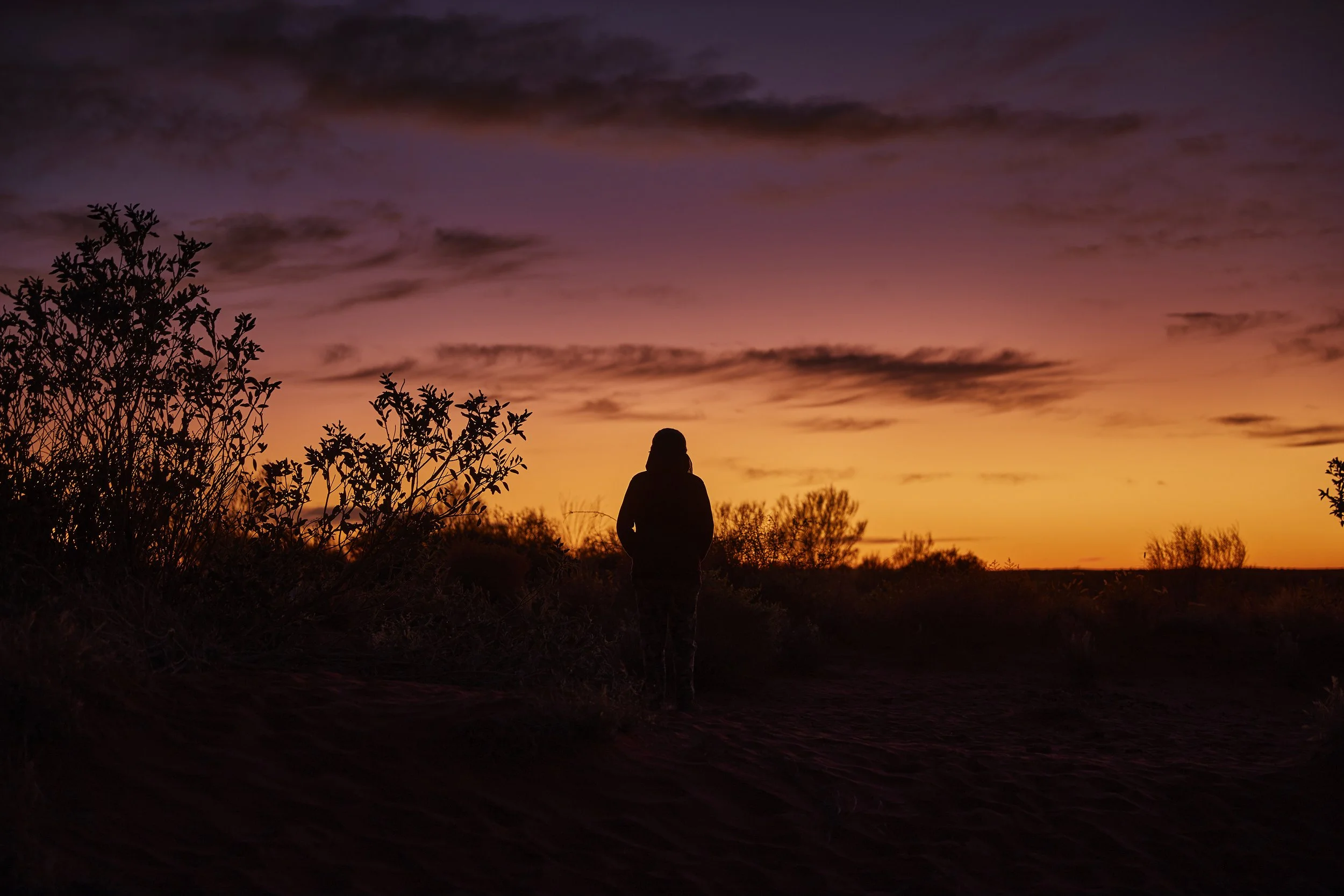 Silhouette of a person standing in a field during sunset or sunrise, with trees and a colorful sky with clouds in the background in central australia