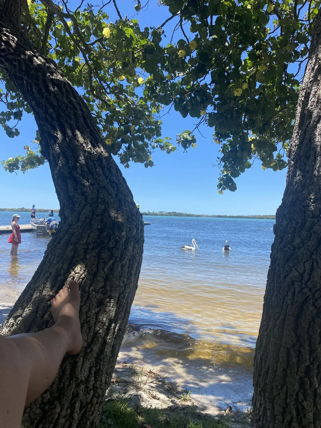 View of a beach scene through two tree trunks with a person’s foot resting on one of the trunks in the foreground. People are seen wading in the water and boats on the water in the background, with a blue sky overhead.