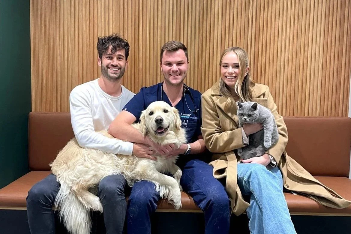 Pet owners and their dogs on a sofa