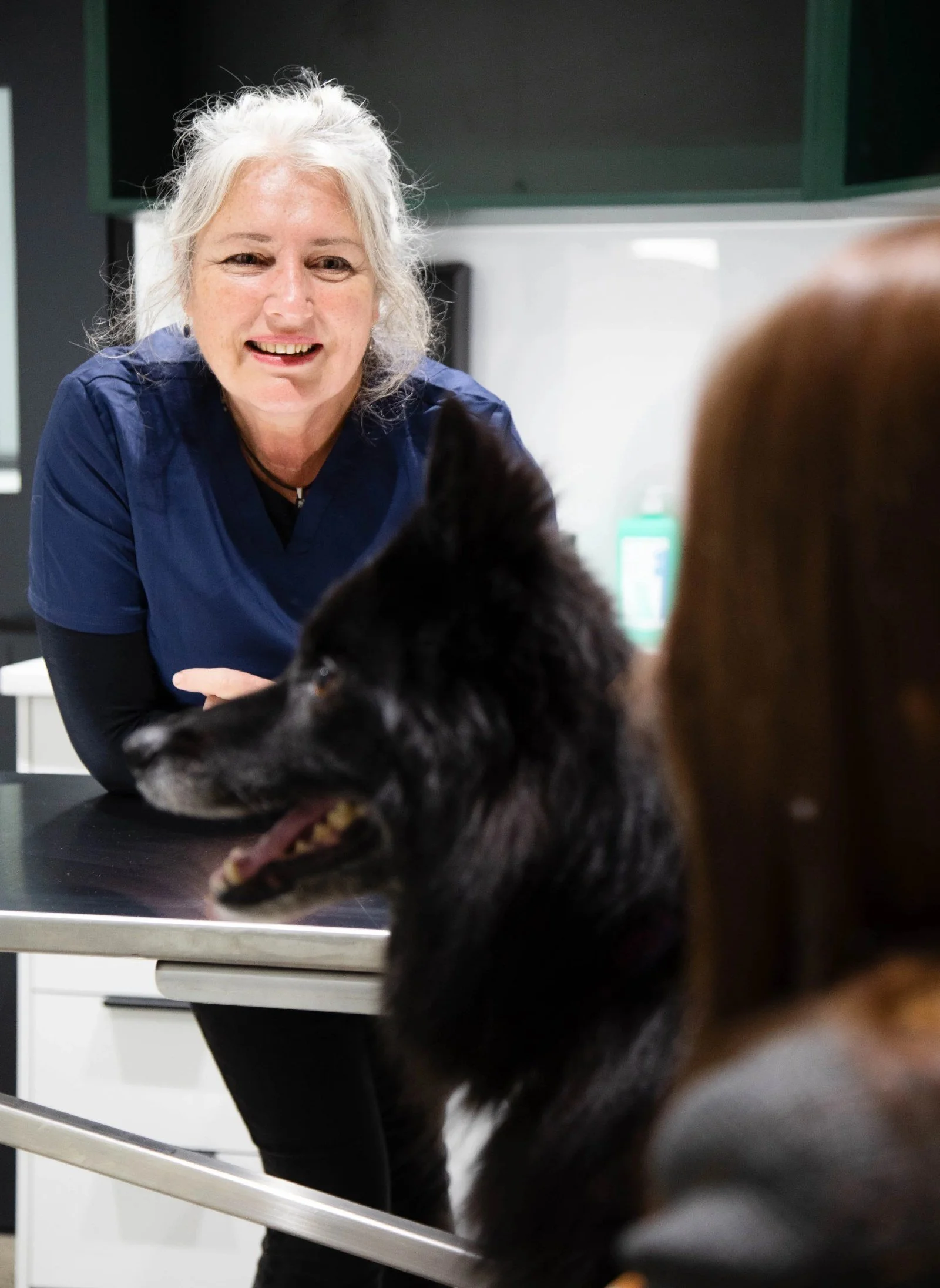 Vet with a black dog at Tooronga Veterinary Hospital