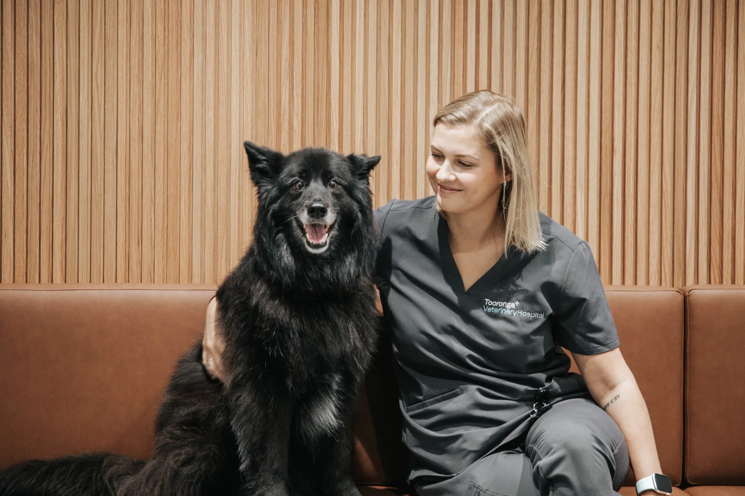 Dogs and Grass Seeds | Tooronga Vets — Tooronga Veterinary Hospital - Grass Clippings And Dogs Health Risks