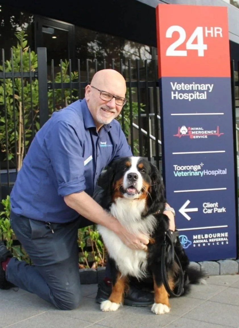 Vet with a dog outside Tooronga Veterinary Hospital