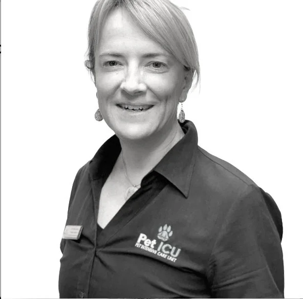 Screenshot 2024-01-10 at 9.16.55 pm.jpg