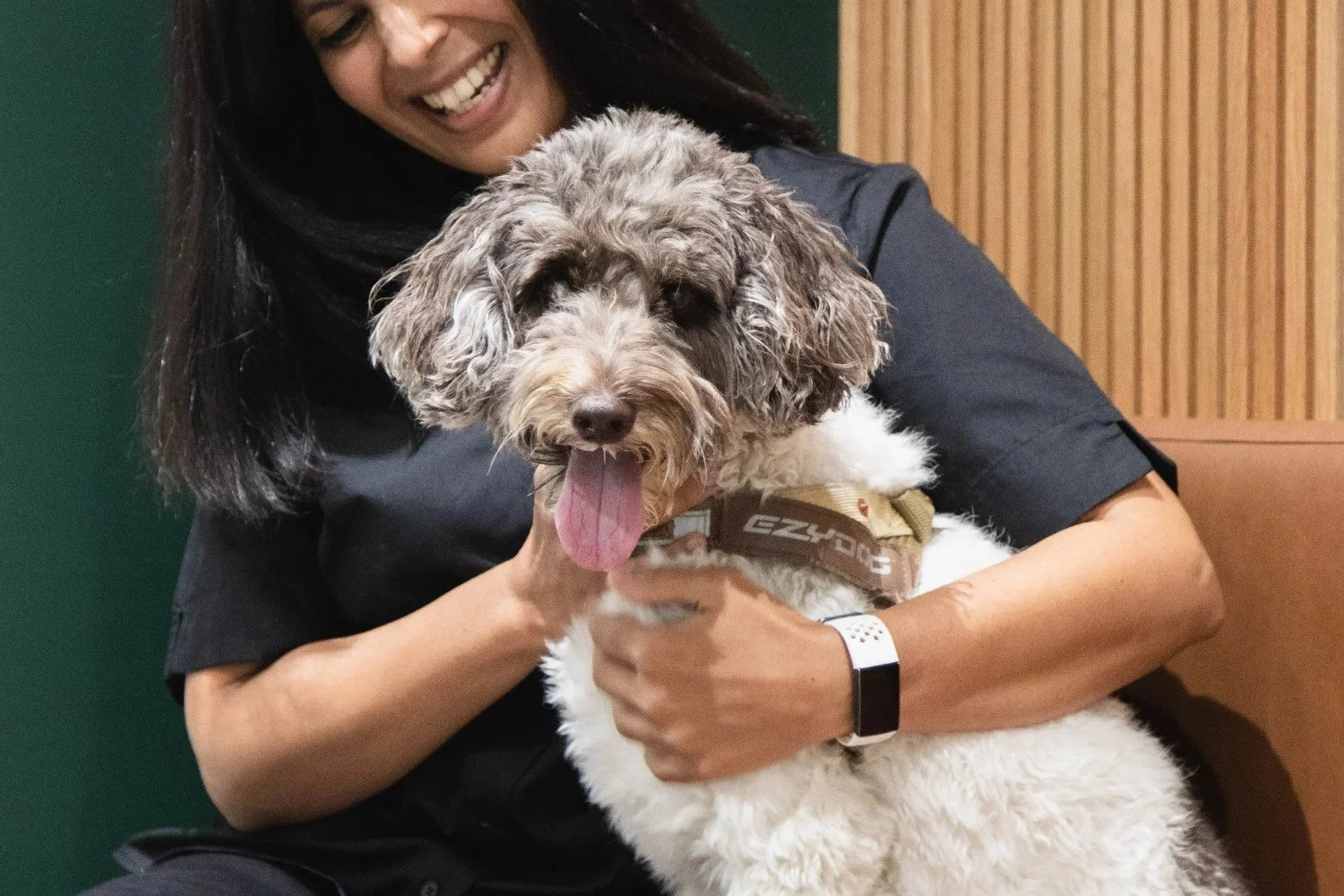 Vet cuddling a fluffy dog