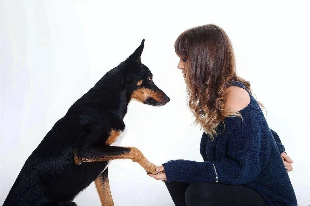 Woman holding the paw of a kelpie