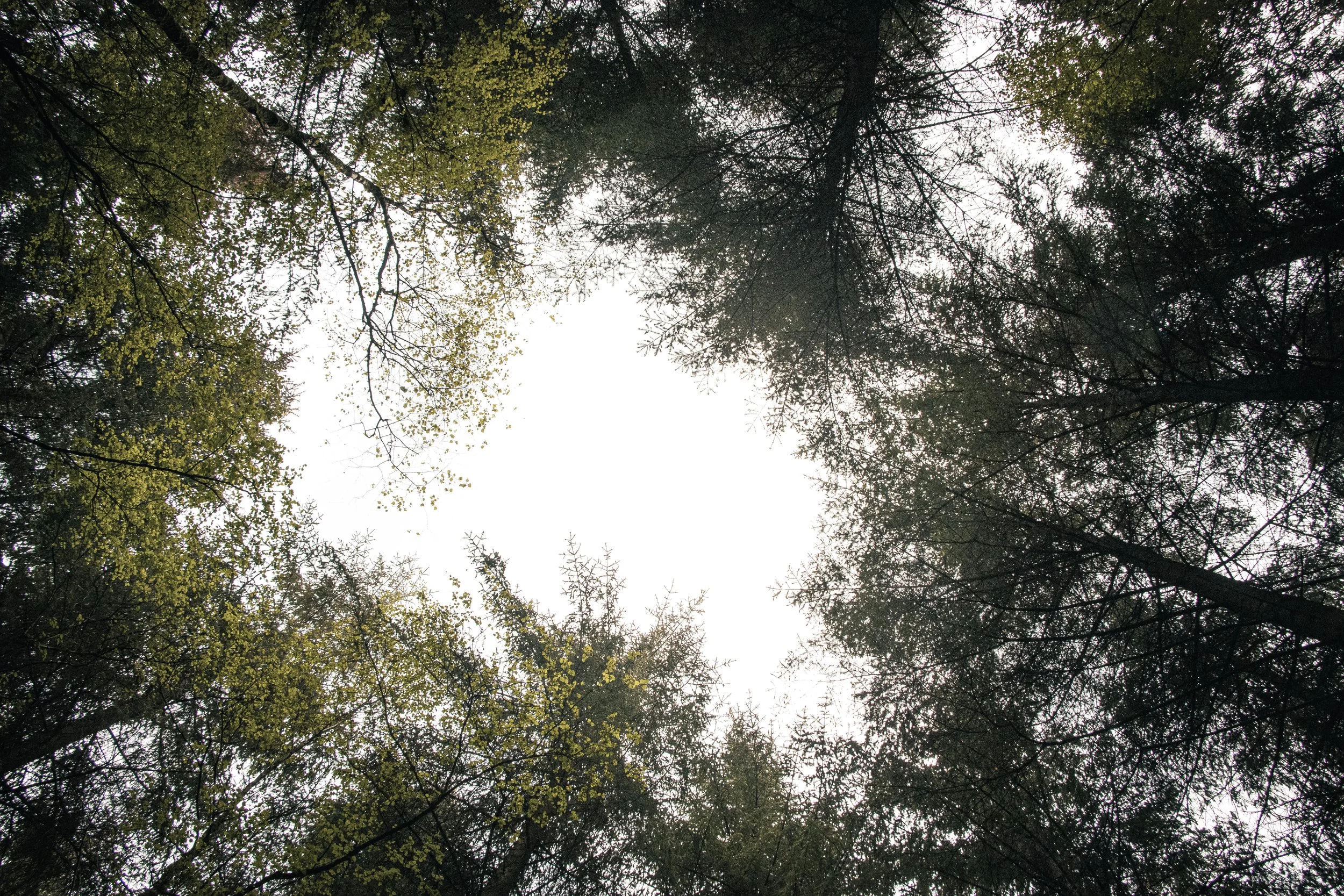 Aether-104.jpg