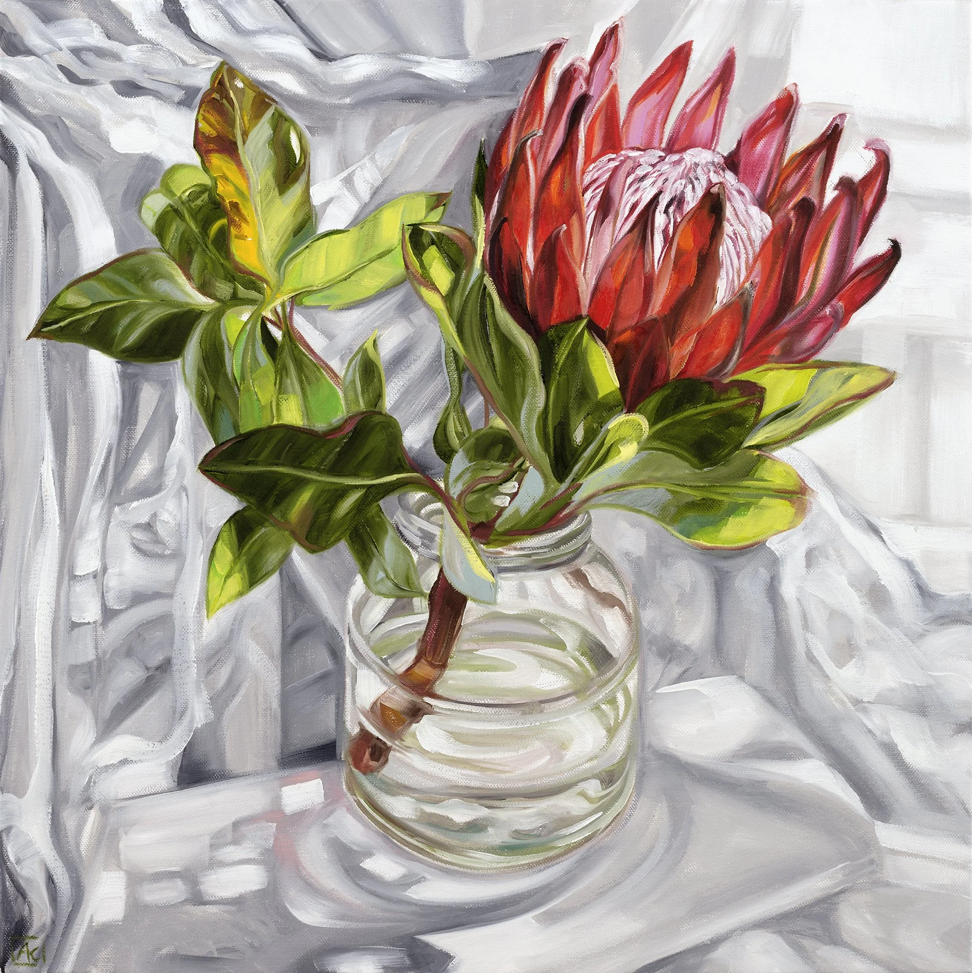 Vintage Actil Sheet Protea glows like a King