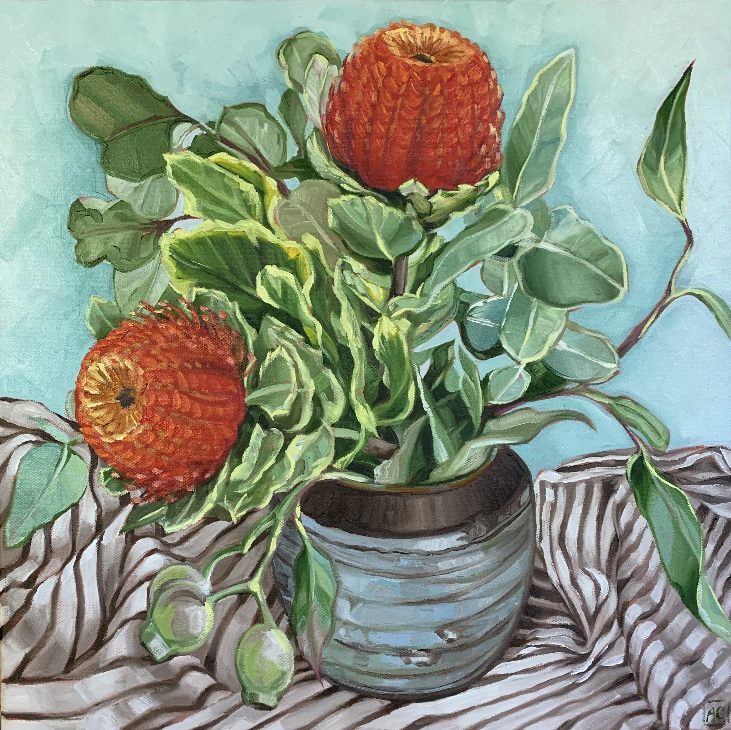 Banksia on French Ticking