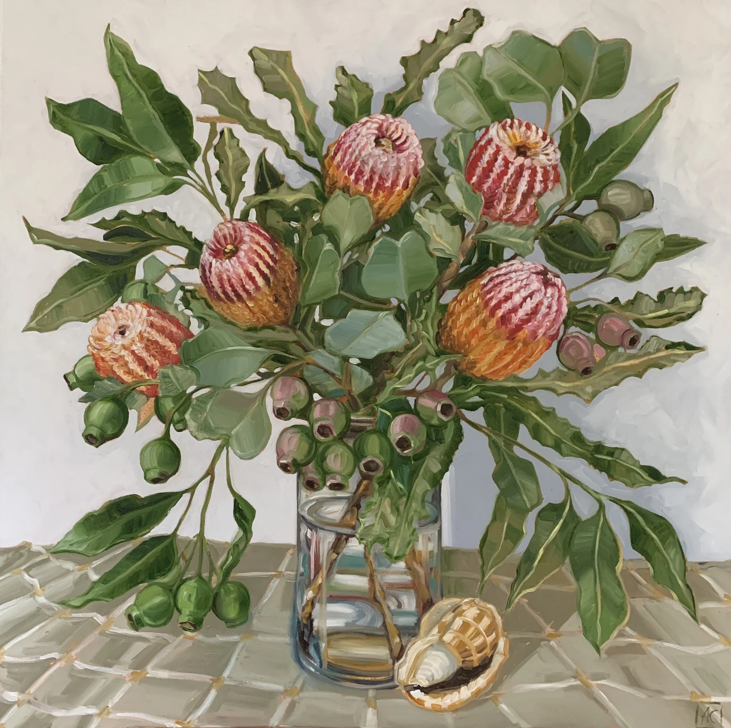 Banksias and shell