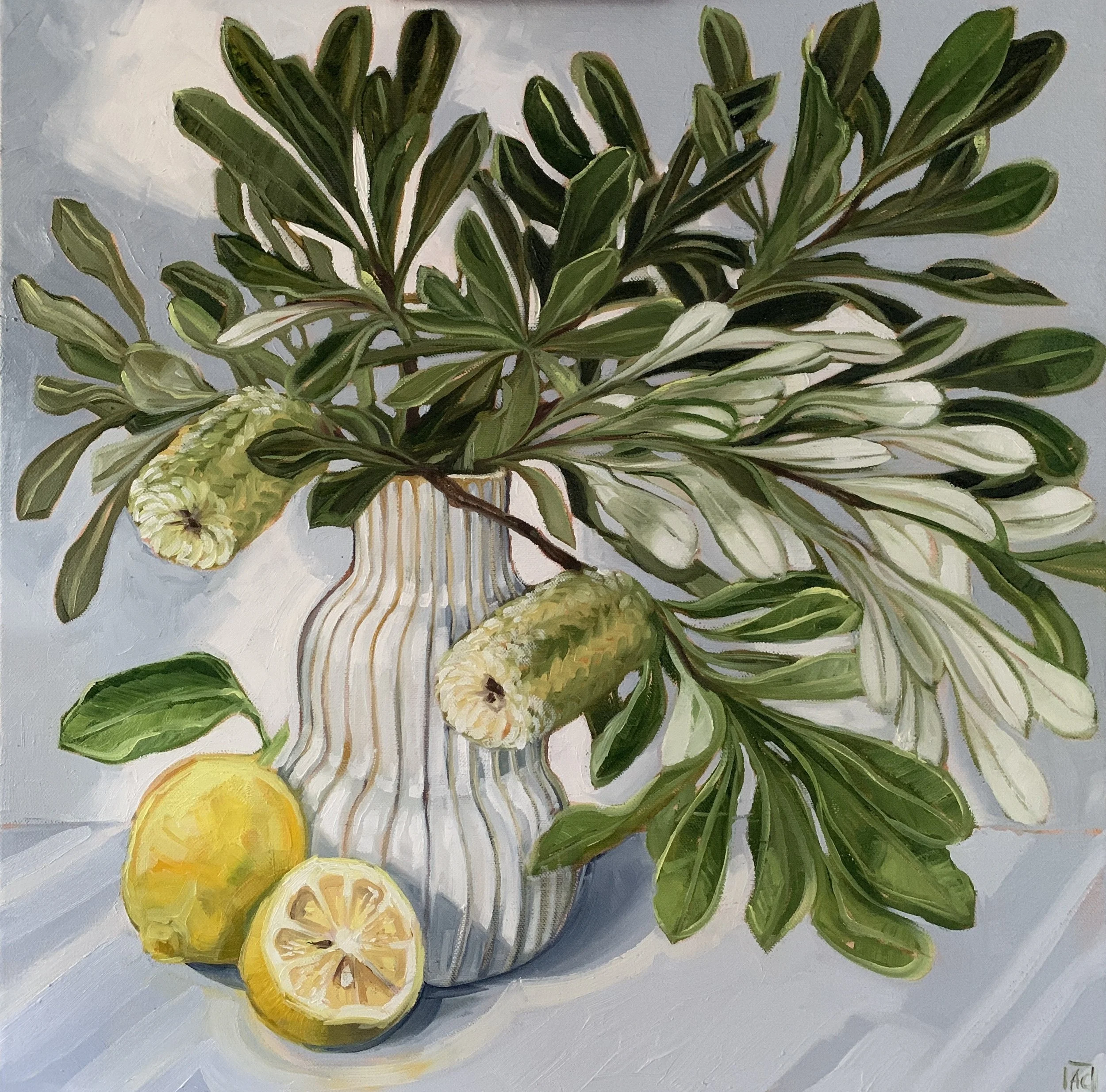 Coastal Banksia and Lemons