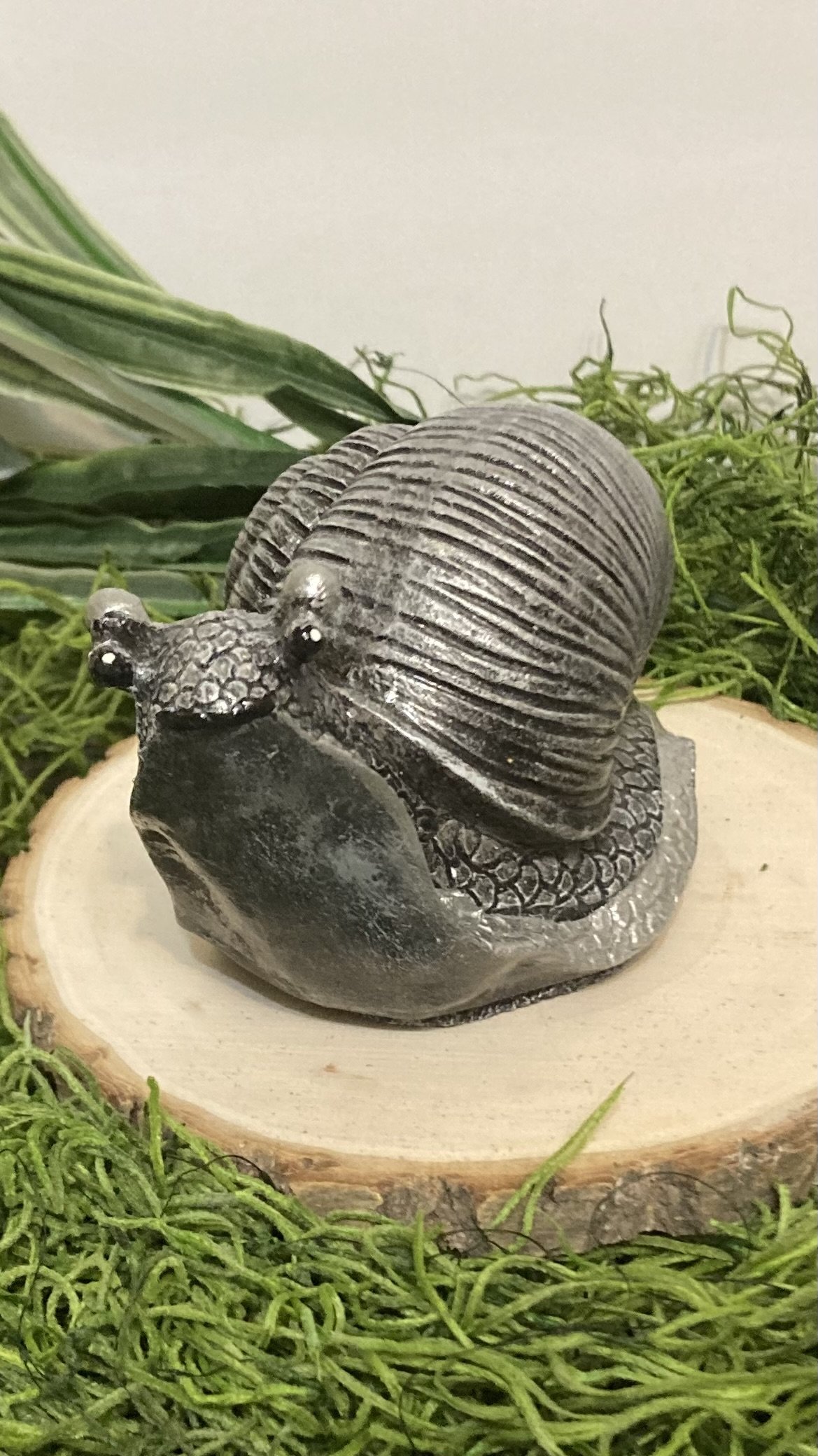 Snail with Silver and Black Shell