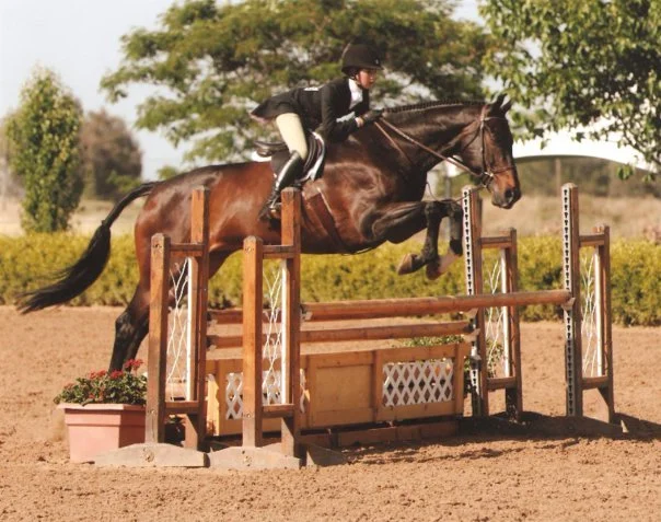 Person wearing riding gear jumping over a hurdle on a brown horse during an equestrian event