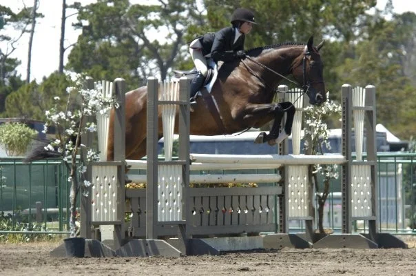 A rider in riding gear and helmet jumping over an obstacle on a brown horse during an equestrian competition.