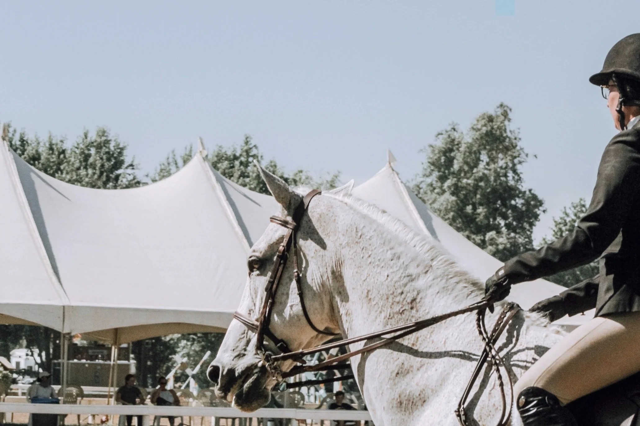 A rider in black riding a white horse at a horse show or event, with large white tents and trees in the background.