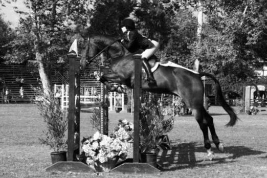A person riding a horse jumps over an obstacle during a show jumping competition.