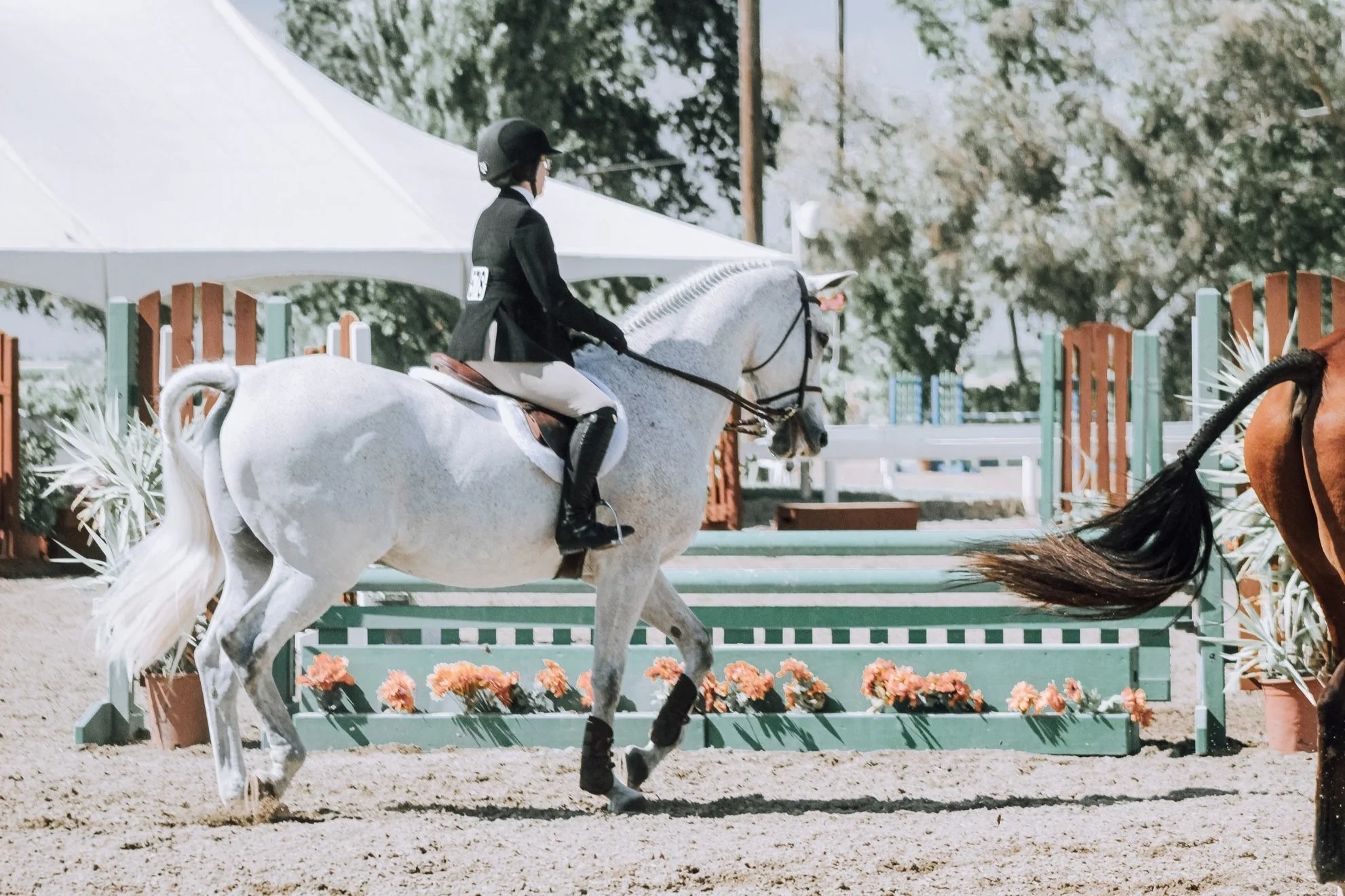 Equestrian rider on a grey horse jumping over a hurdle during a show jumping event.