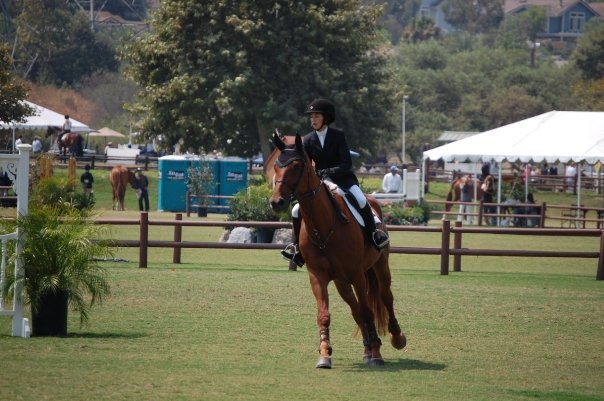 Rider in black riding jacket and helmet riding a brown horse on a grassy field at an outdoor equestrian event with tents and other horses in the background.