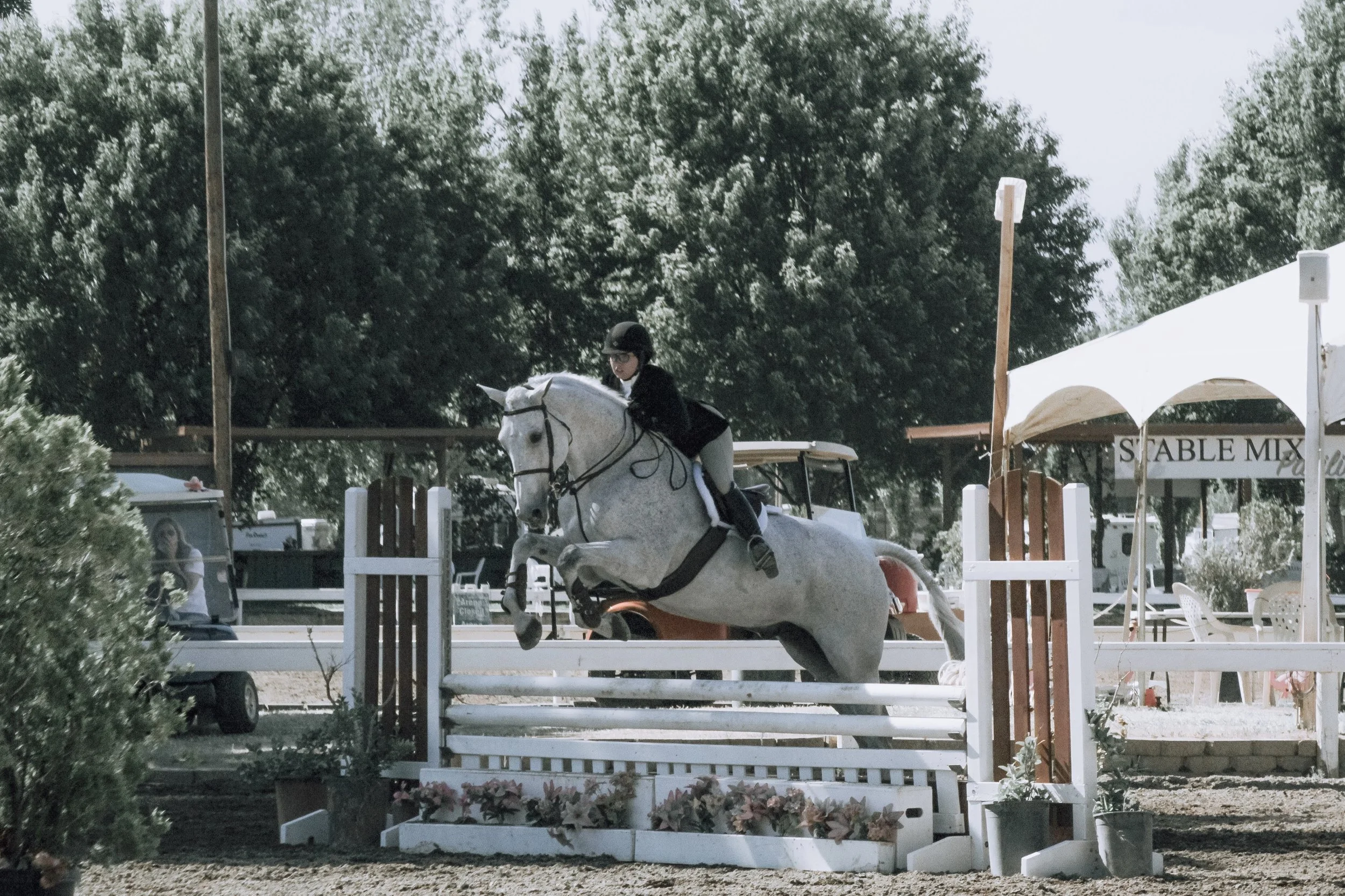 A young girl participates in an equestrian jumping event, riding a gray horse over a white and brown jump with flowers at the base, at a horse riding competition arena.