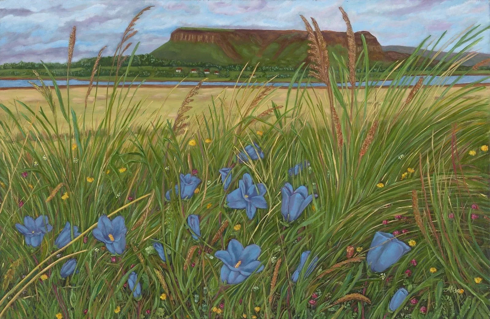 Boyle Art Festival