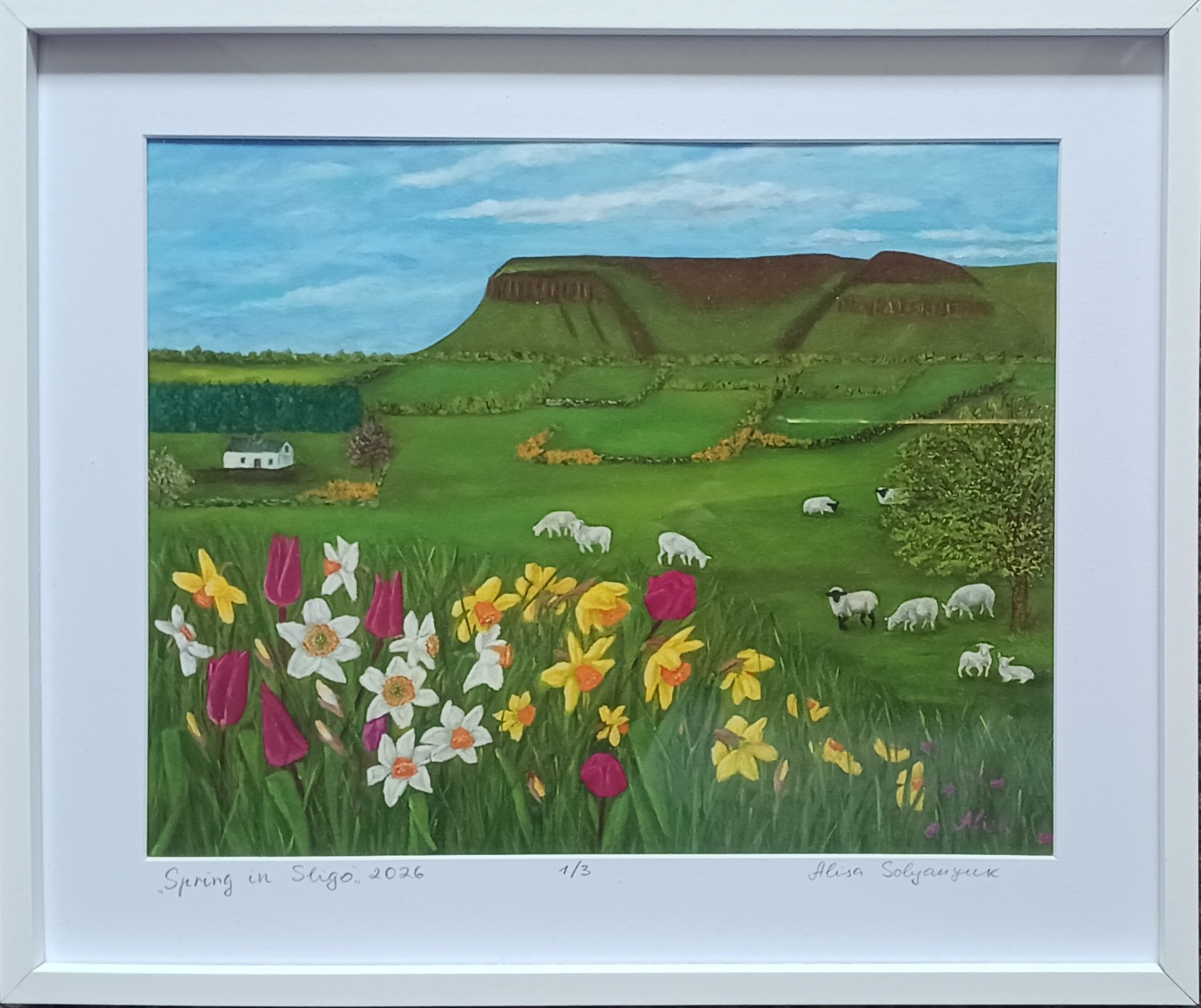 "Spring in Sligo County", fine art print, 32x27 cm with frame, 2026, sale 45 euro.