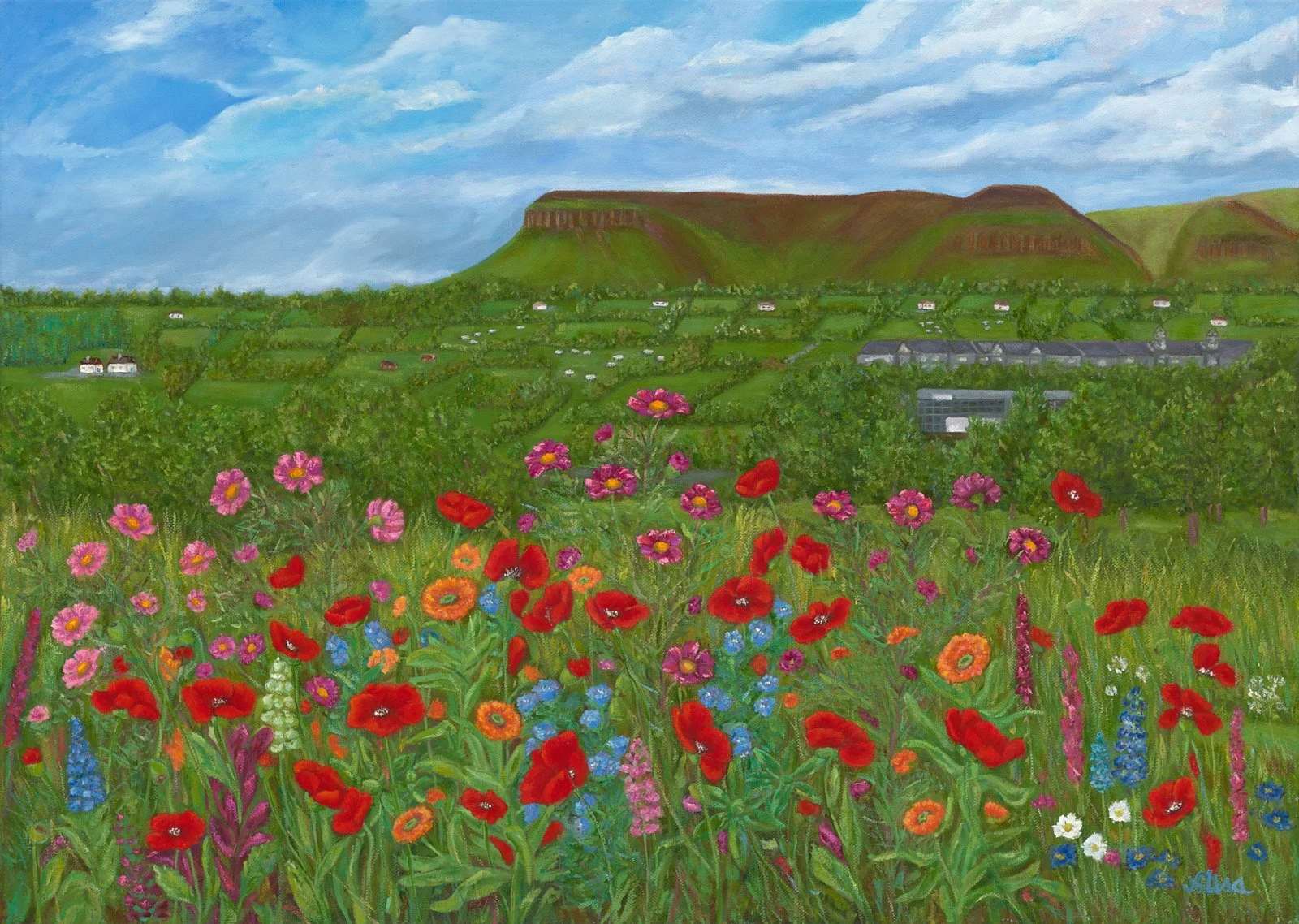"The view to Benbulbin", oil on canvas, size 70 x 50 cm. Unframed, price 400 euro. 
