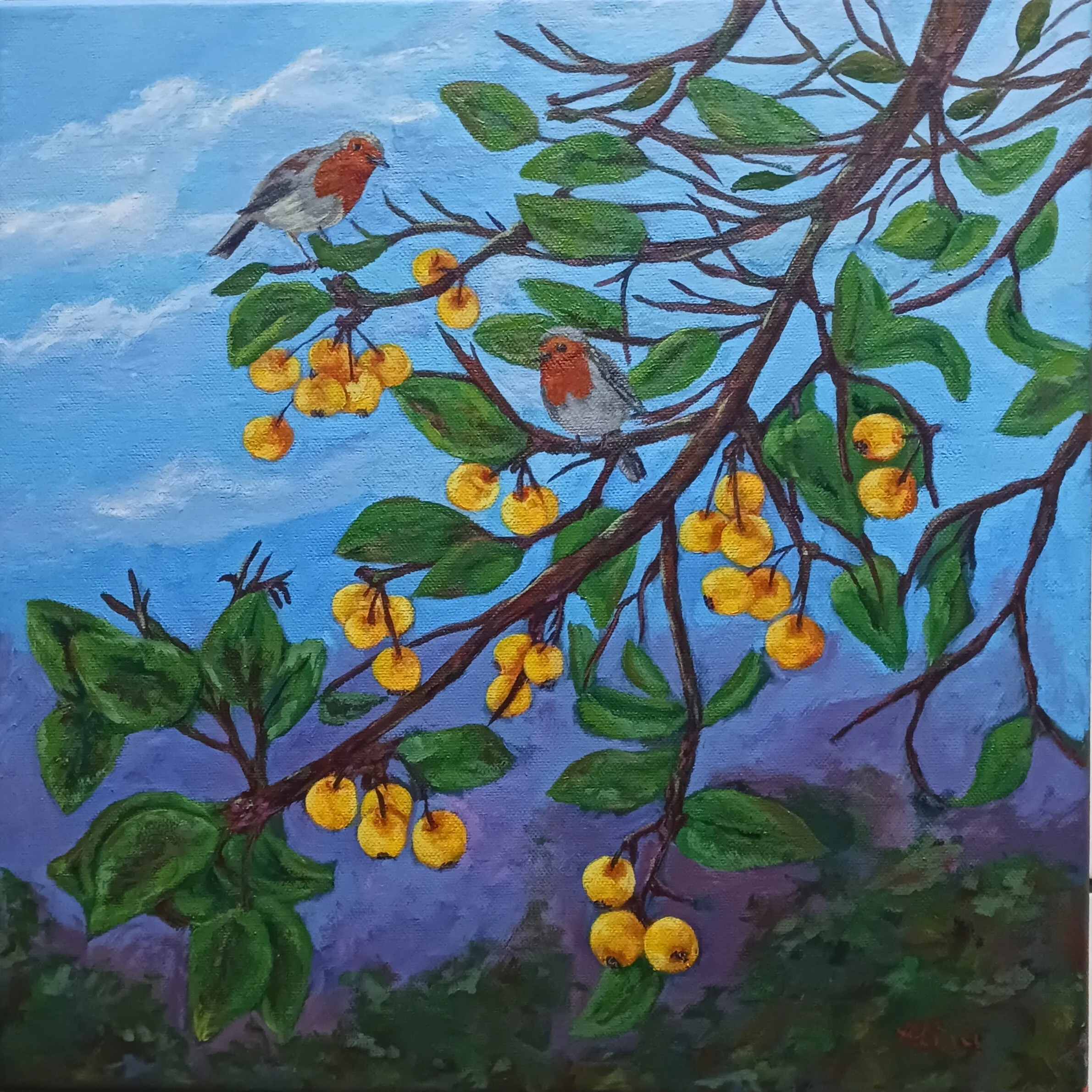 "Robins on a branch of Crab apple tree", 40 x40 cm, acrylic, not framed, 2026.  Price 180 euro.