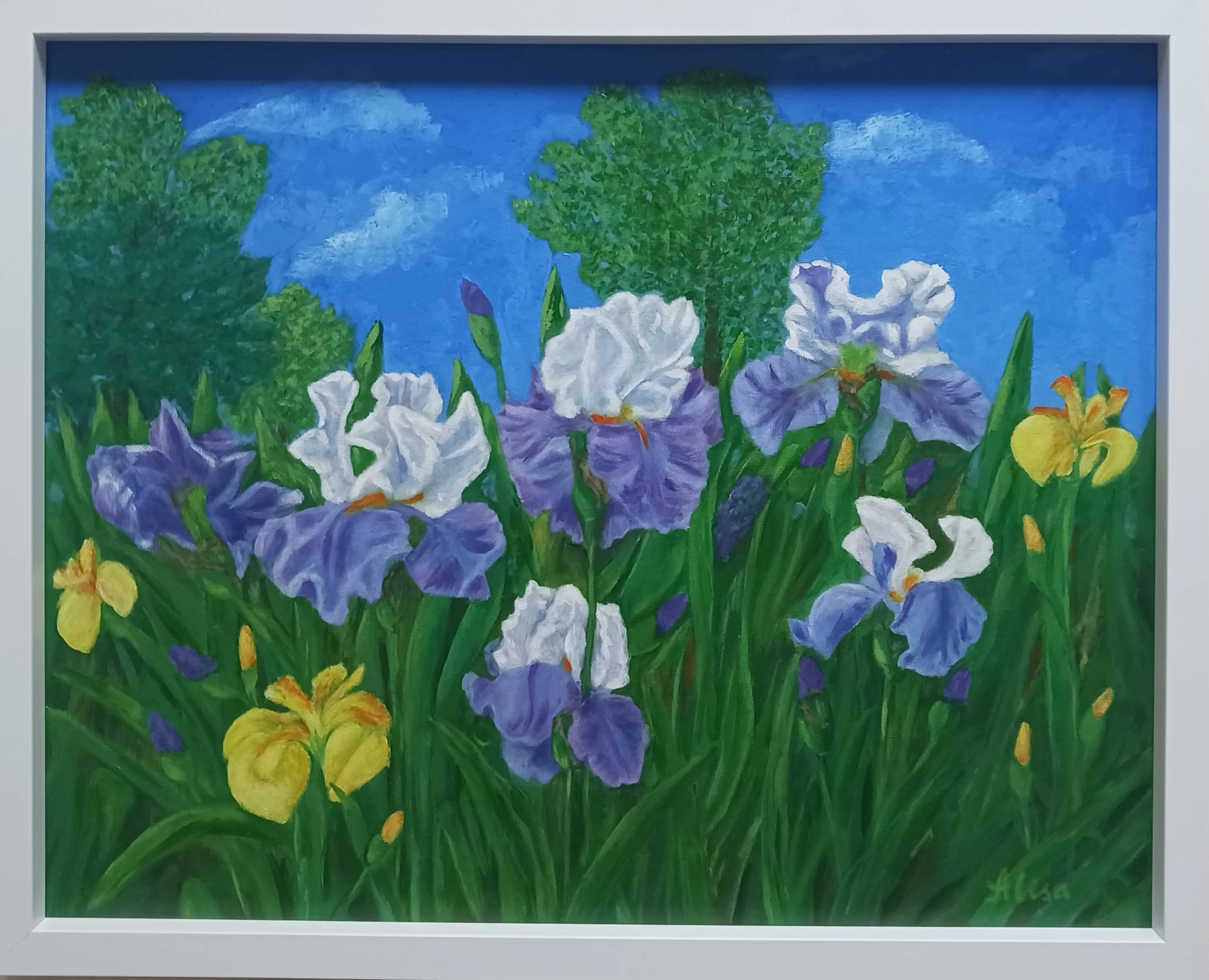 "Irises", acrylic, canvas board, 50x40 cm, framed, 2026, sold