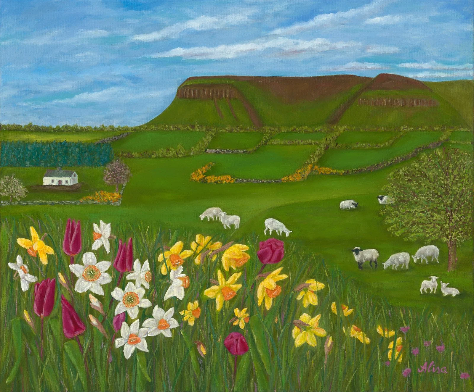 " Spring in Sligo", oil on canvas, size 60 x 50 cm, 2026. Unframed, prize 360 euro.