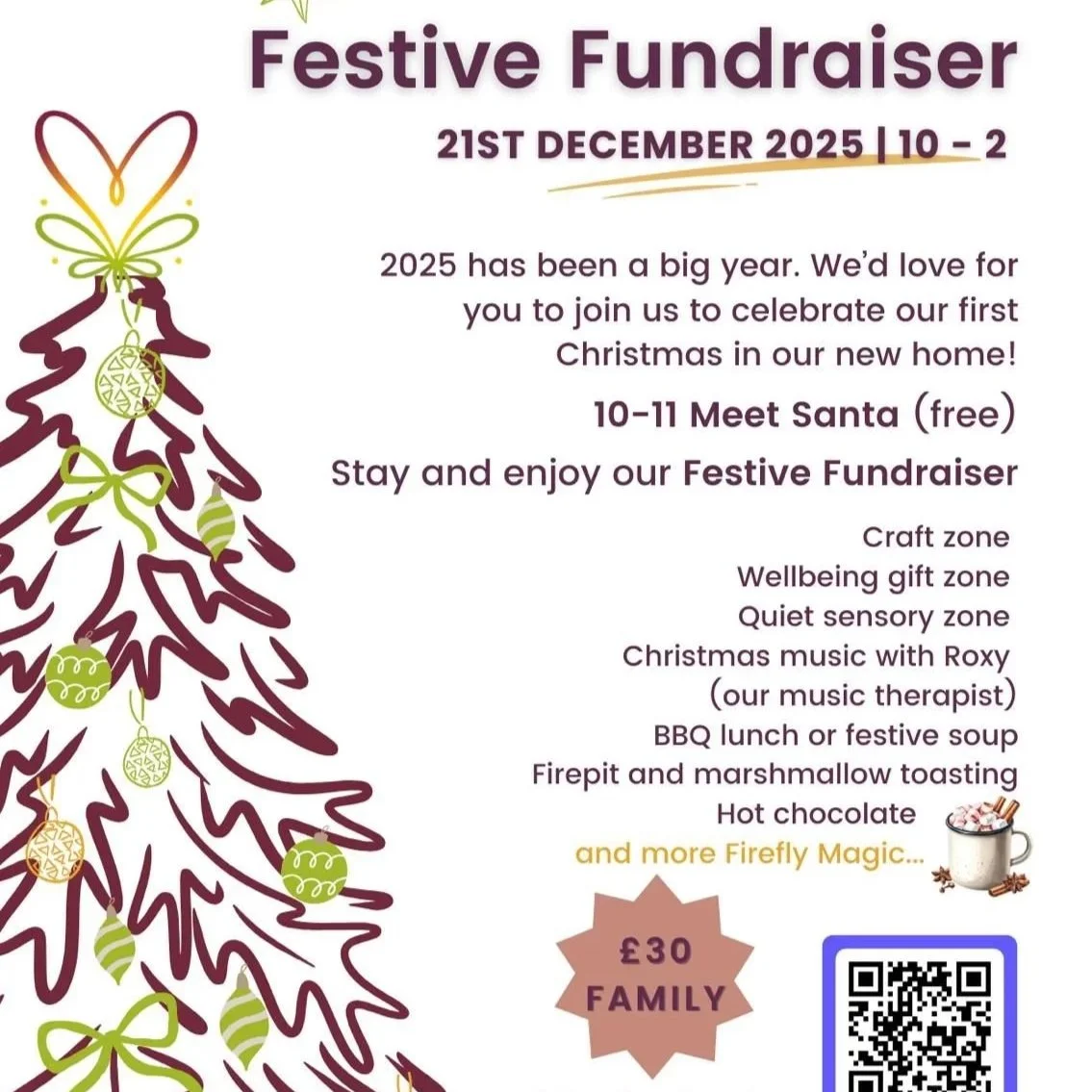 Firefly Festive Fundraiser