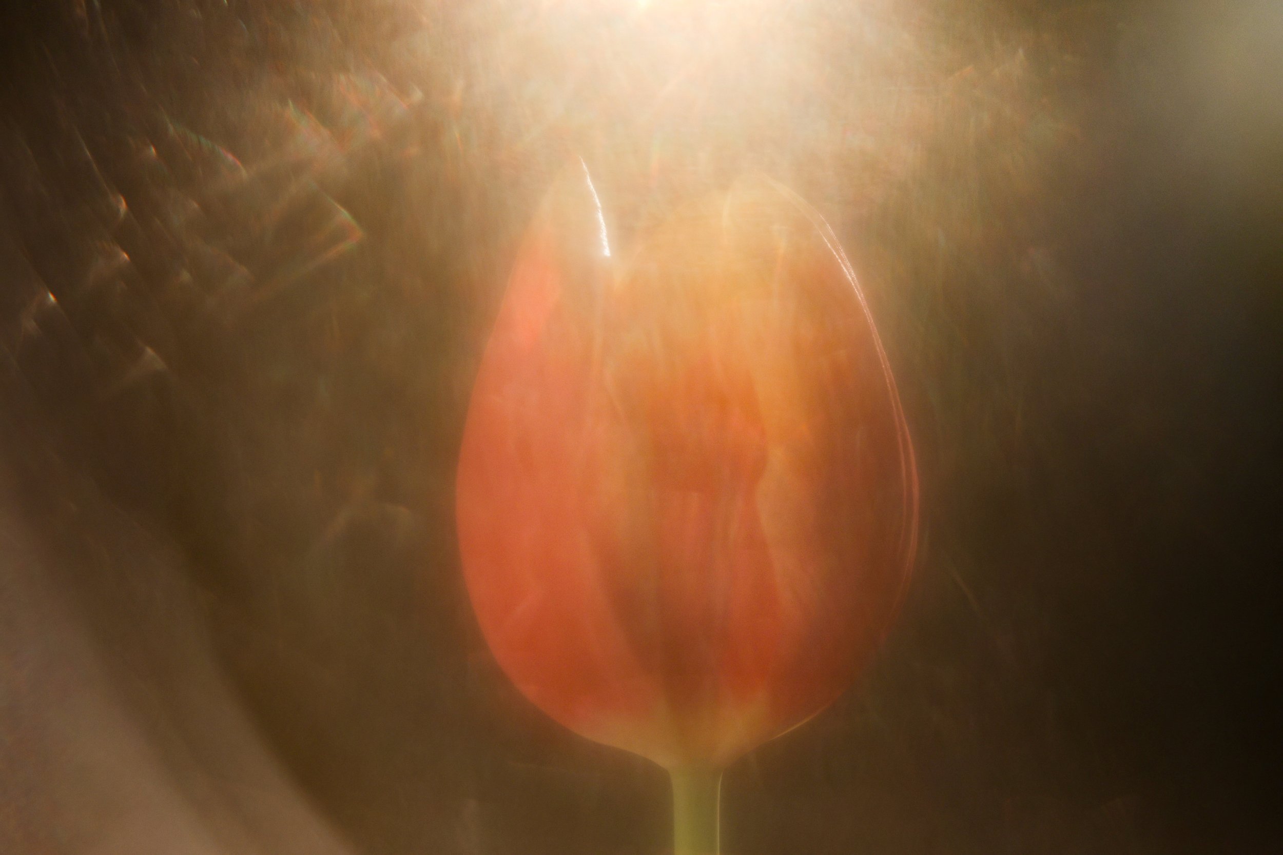 One subject, countless ways