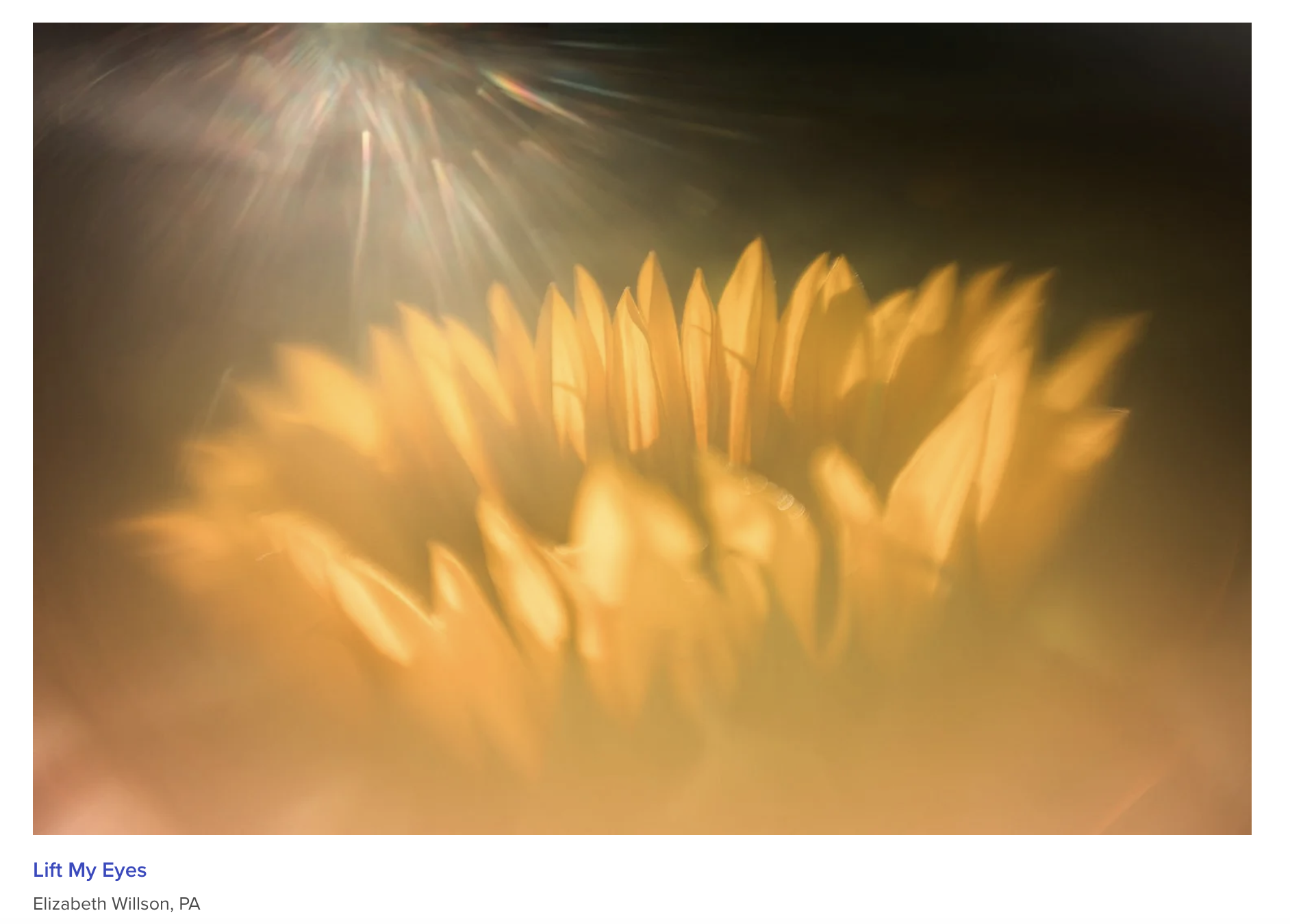 Frederick Camera Clique Juried Show